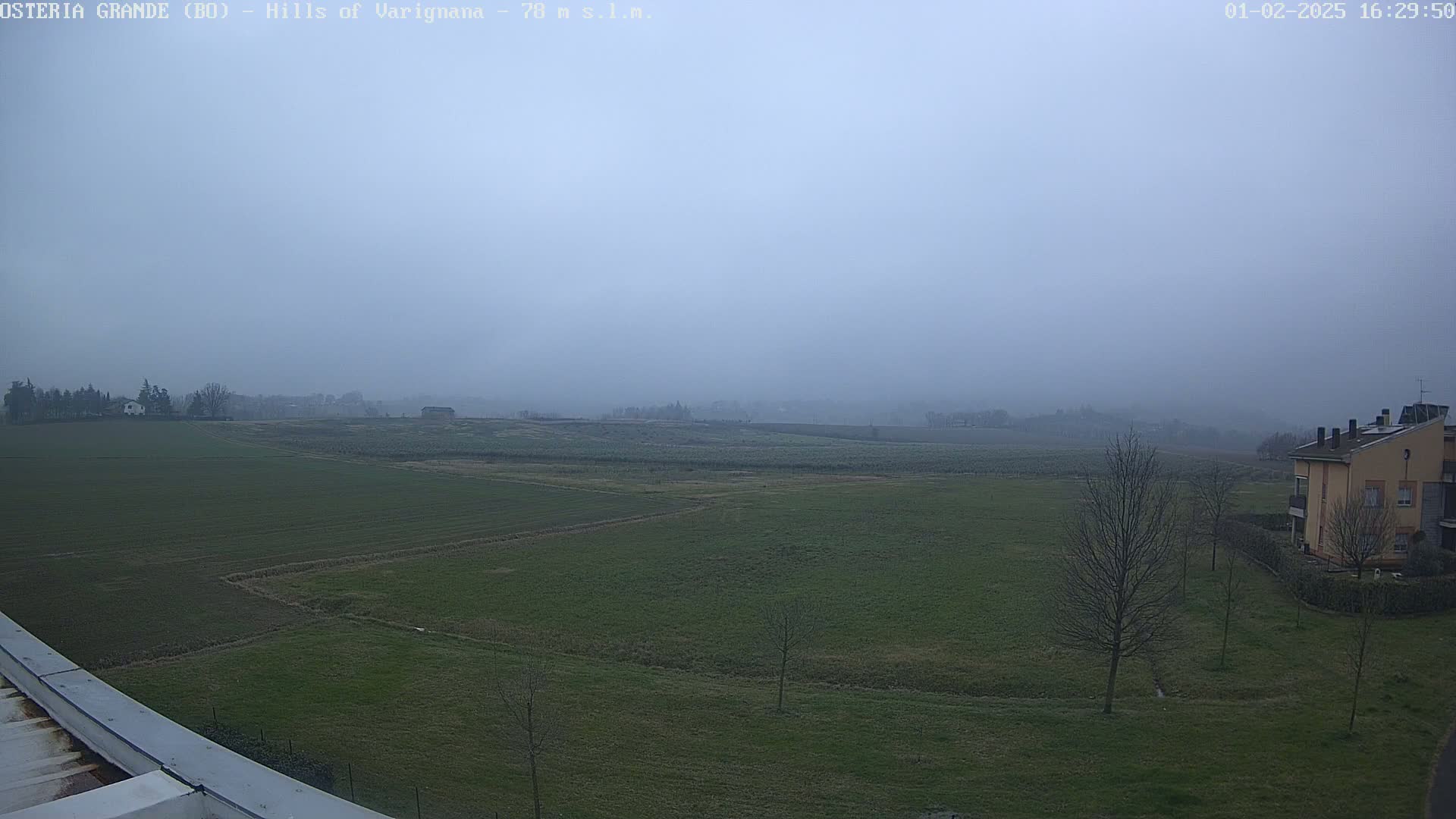 A foggy view of a flat, green field with sparse trees and a building in the distance.