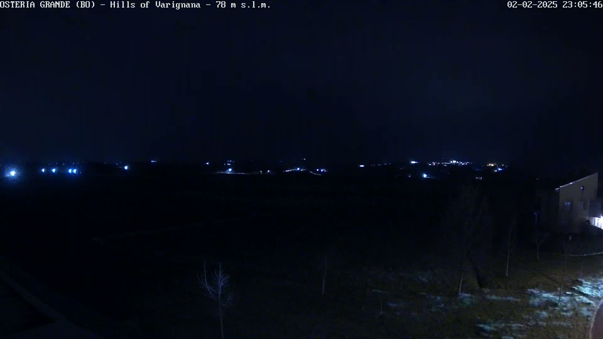 A nighttime, outdoor view of a dark landscape with distant lights and a few bare trees, under a clear, dark sky.