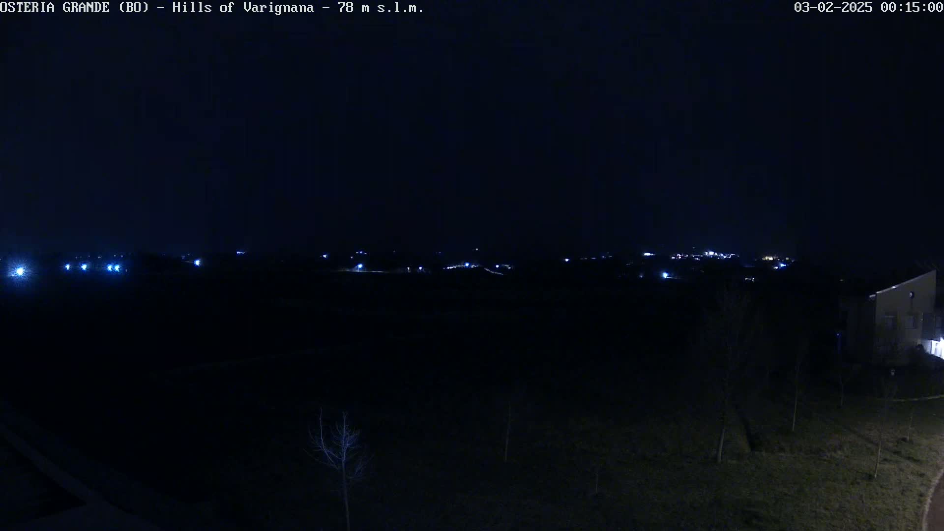 A nighttime, low-light view shows a dark landscape with sparsely scattered trees and distant, faint lights from a town or village.