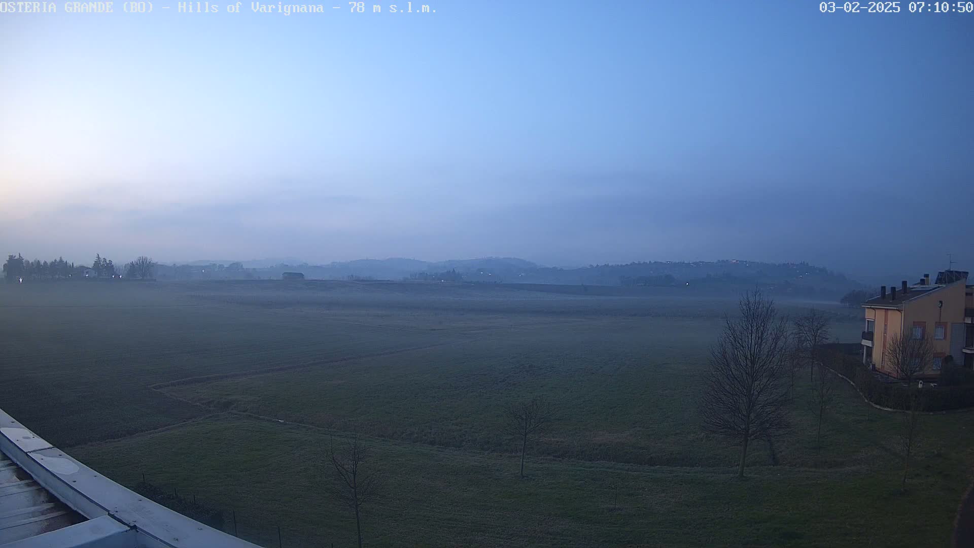 A wide, flat field stretches out under a dusky blue, pre-dawn sky, veiled in a light fog, with a few bare trees and a building visible in the foreground.