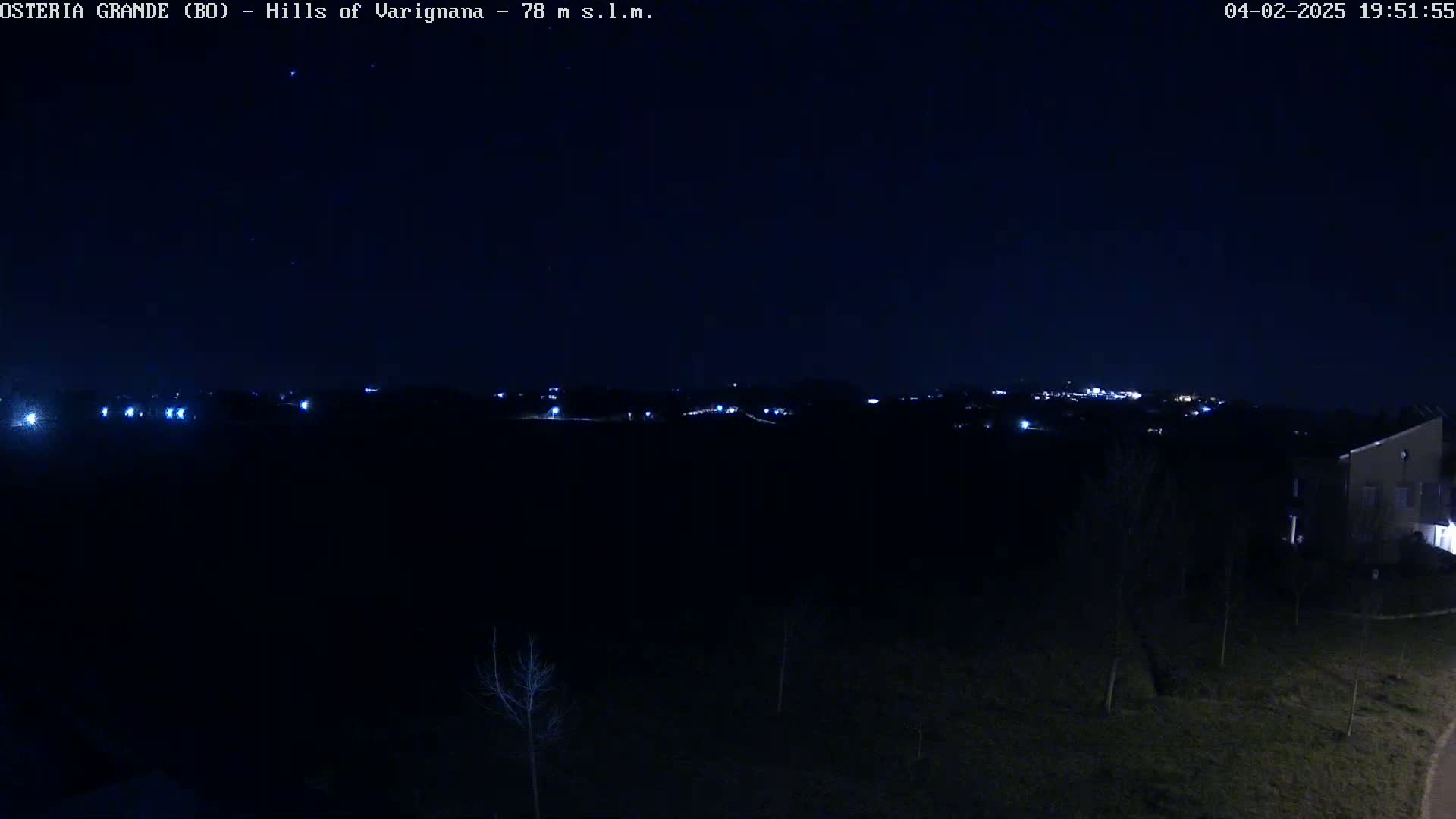 A nighttime, dark view of a distant, faintly lit town across a field with a few bare trees and a building on the right.