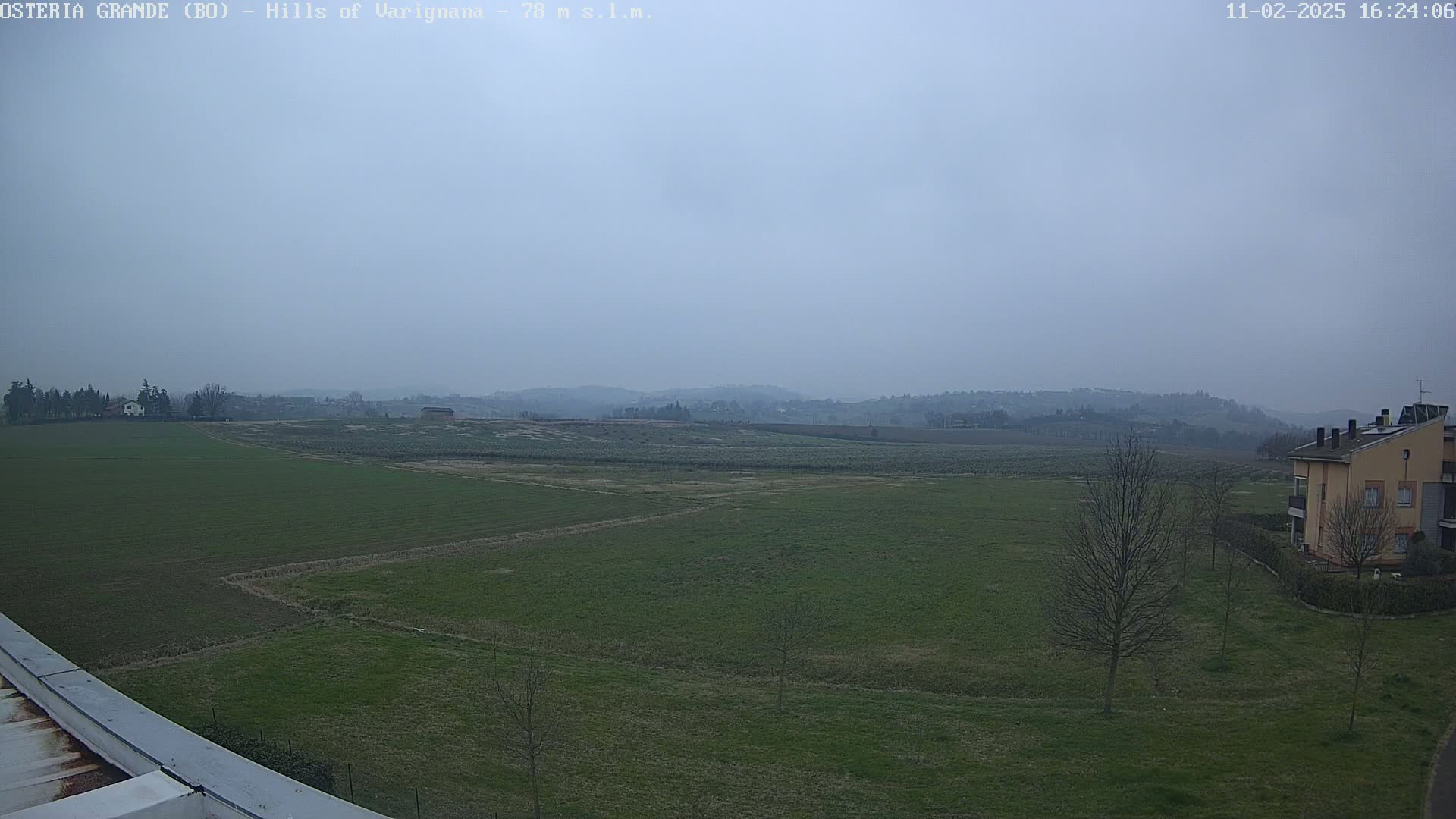 A hazy, overcast view of a flat, green agricultural field, with a few buildings in the distance and bare trees in the foreground.