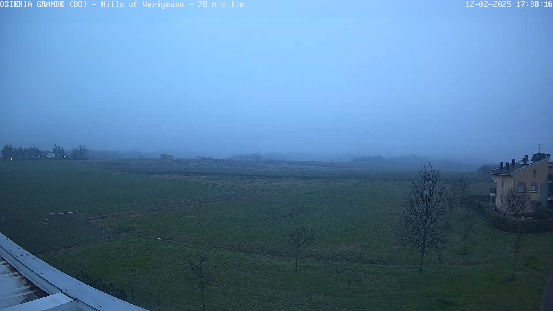 A foggy, twilight view of a flat, grassy field with a few bare trees and a building in the distance.