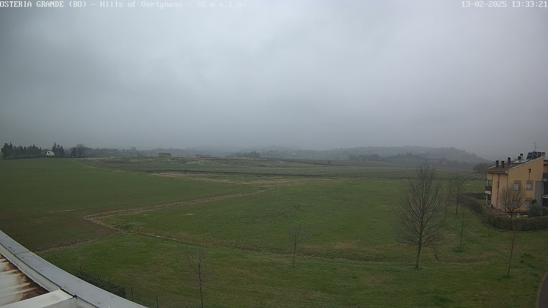 A flat, green field stretches to hazy hills under a gray, overcast sky.