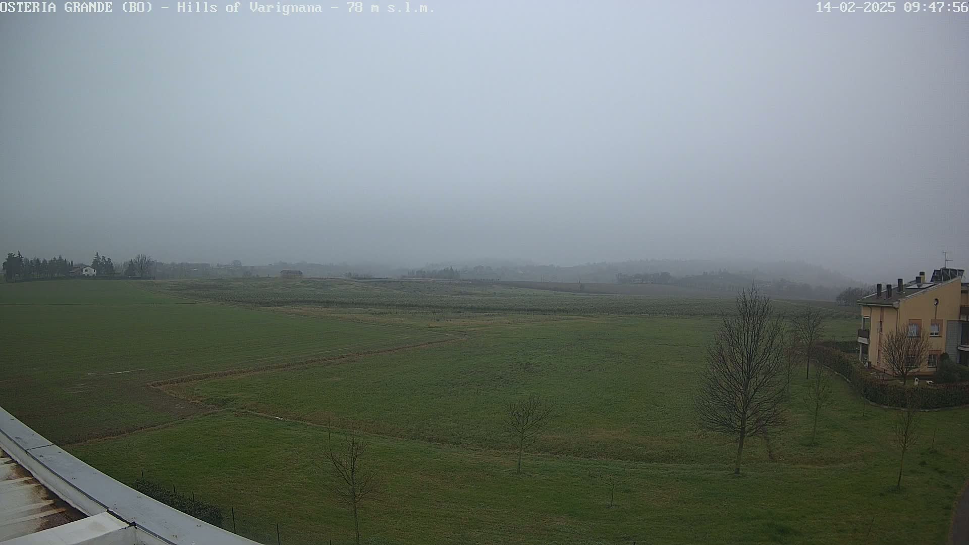 A foggy, overcast day reveals a wide expanse of green fields, dotted with a few bare trees and a building in the distance.