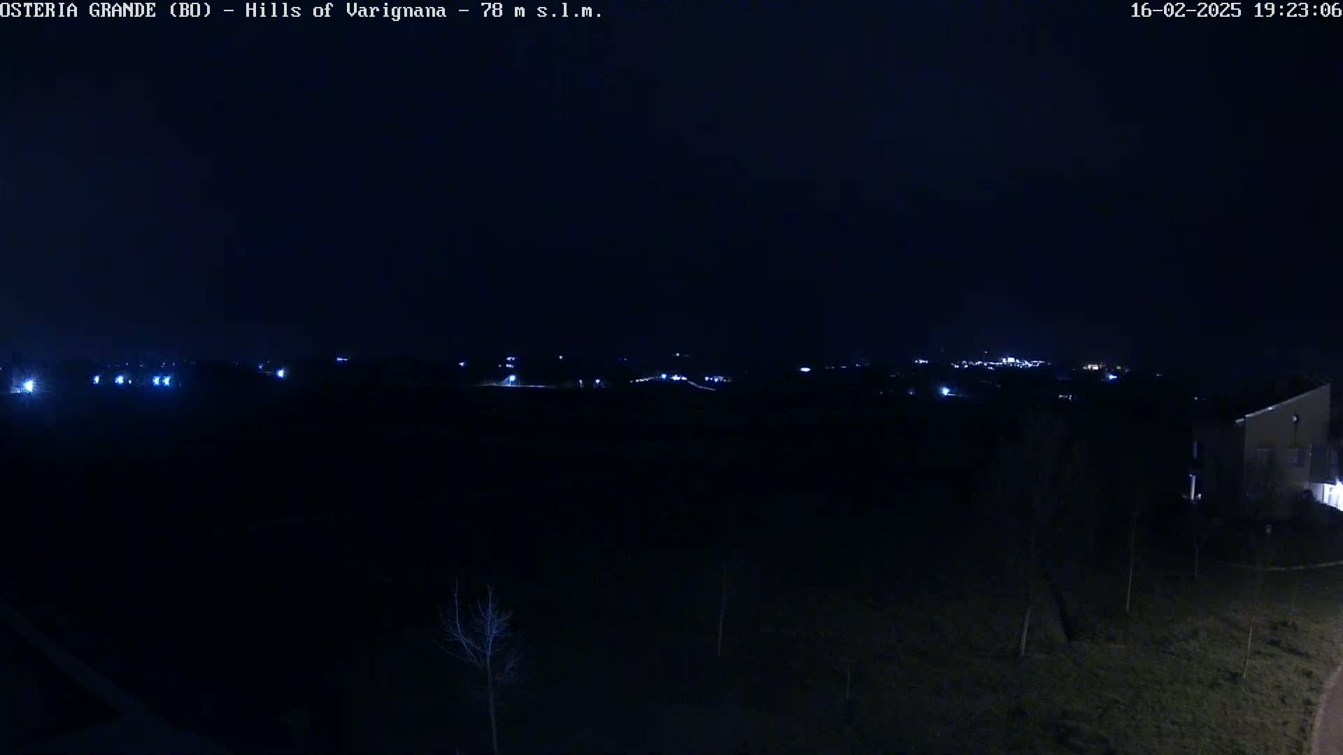 A nighttime, dark landscape view shows a distant town illuminated by lights, and a few bare trees in the foreground under a clear, dark sky.