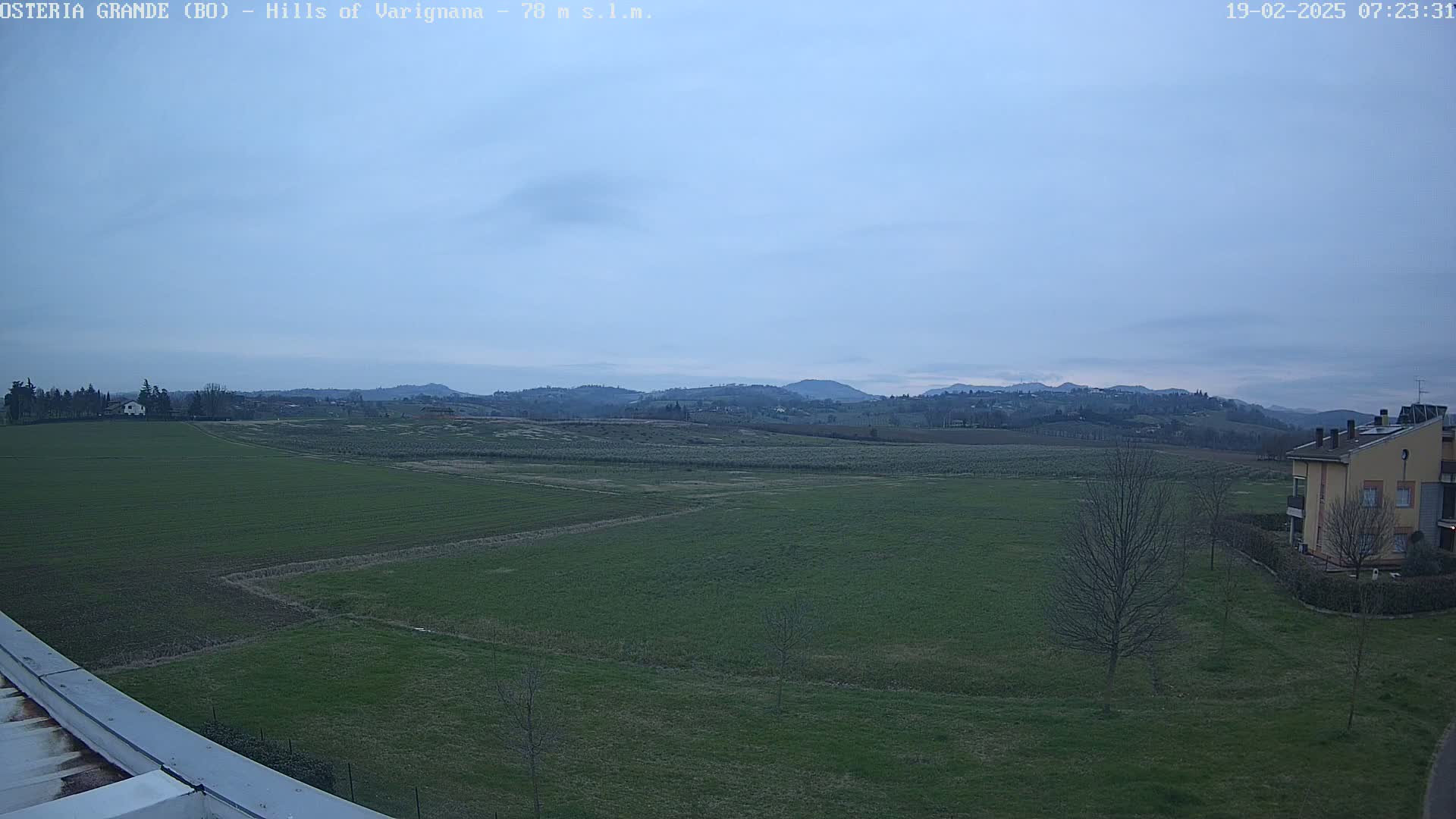 A wide, flat expanse of green farmland stretches to distant, softly rolling hills under a pale, overcast sky.