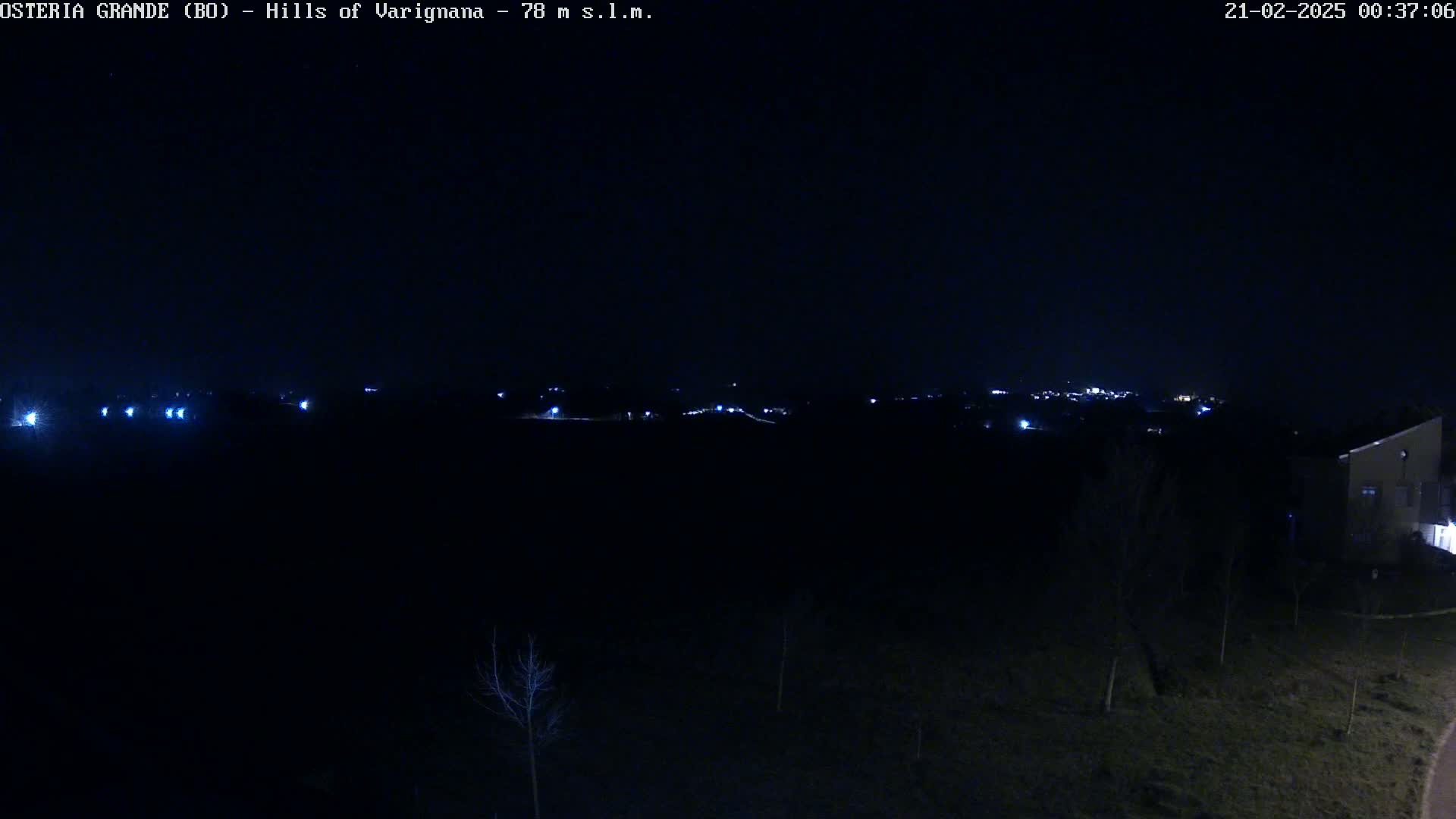 A nighttime, dark view of a distant town's lights across a mostly dark field, with a few bare trees and a building visible in the foreground.