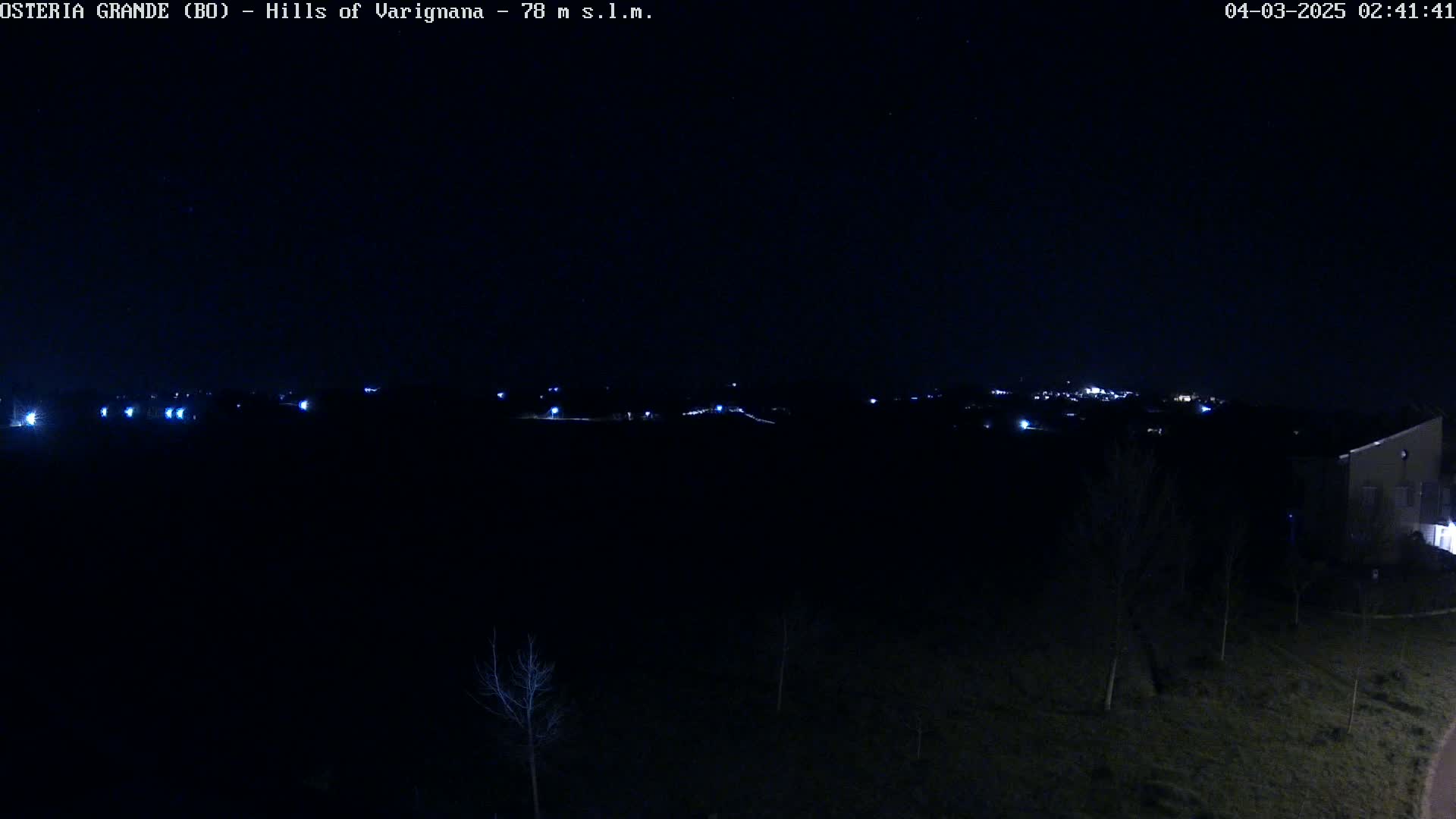 A nighttime long shot shows a dark landscape with a few faint lights in the distance and some bare trees in the foreground under a clear, dark sky.