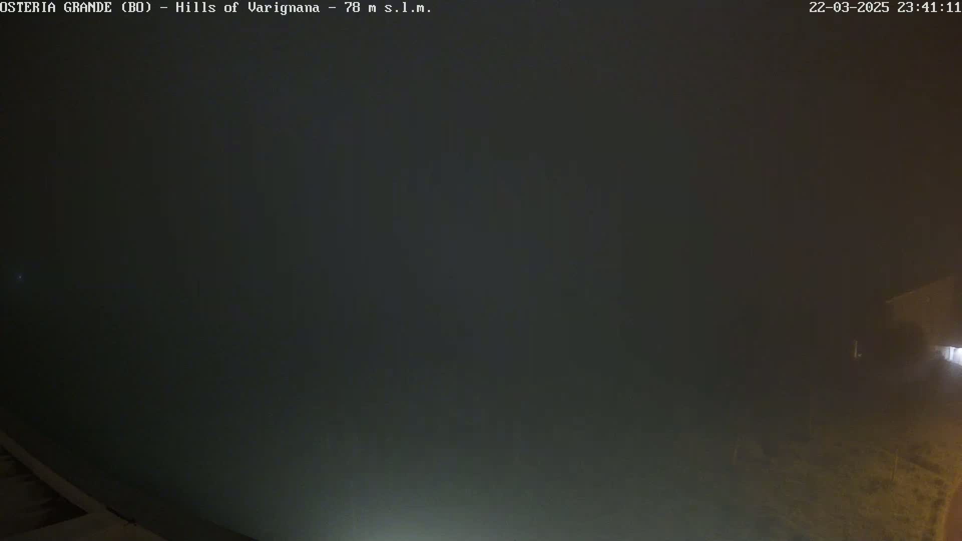 A dark, foggy scene at night is illuminated by a faint light source in the lower right corner.