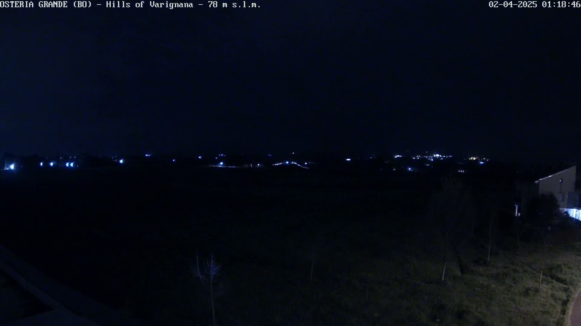 A nighttime view of a dark landscape with a few distant lights and some sparse vegetation in the foreground.