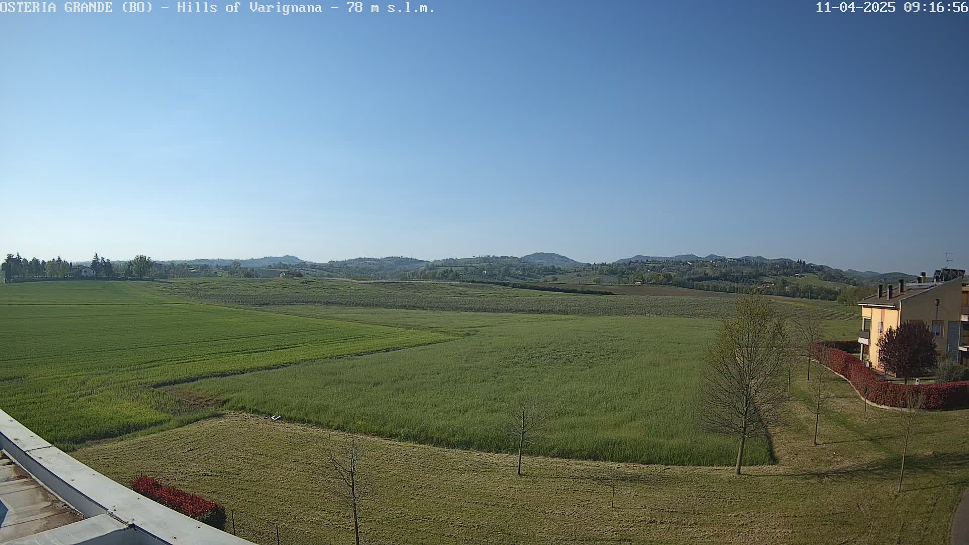 A sprawling field of vibrant green crops stretches out under a clear blue sky, with a few buildings visible in the bottom right corner and distant hills on the horizon.