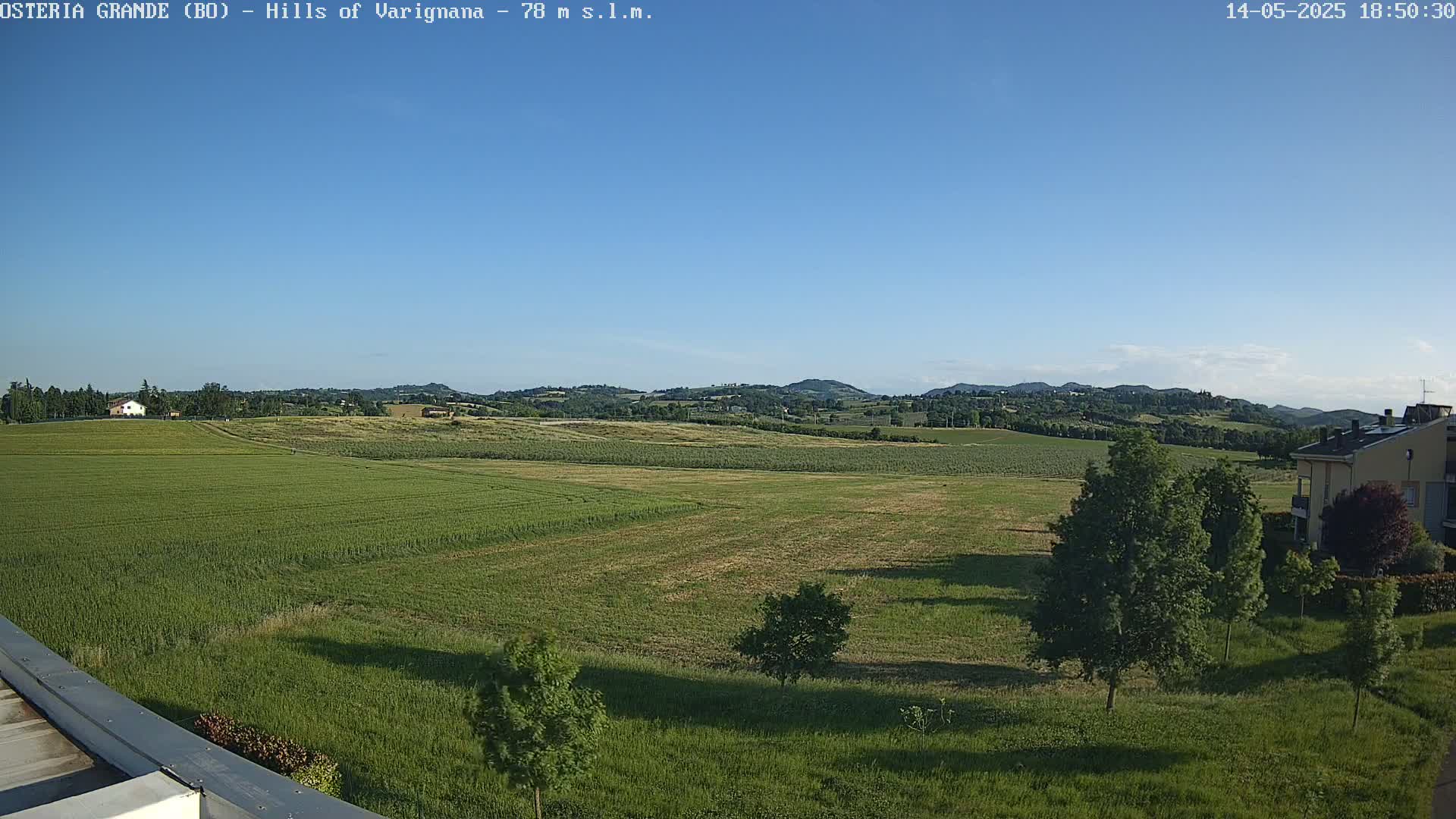 A vast, verdant field stretches towards rolling hills under a clear blue sky.