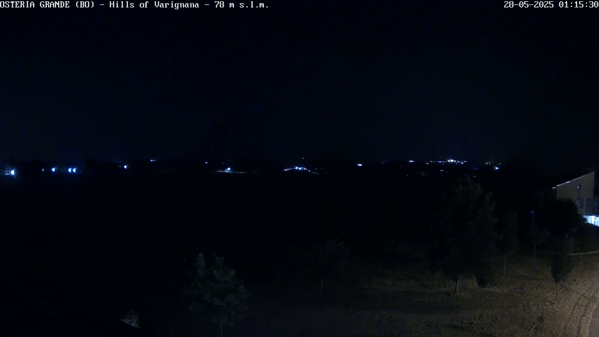 A nighttime, dark view of a landscape showing a few distant lights and some vegetation in the foreground under a clear sky.