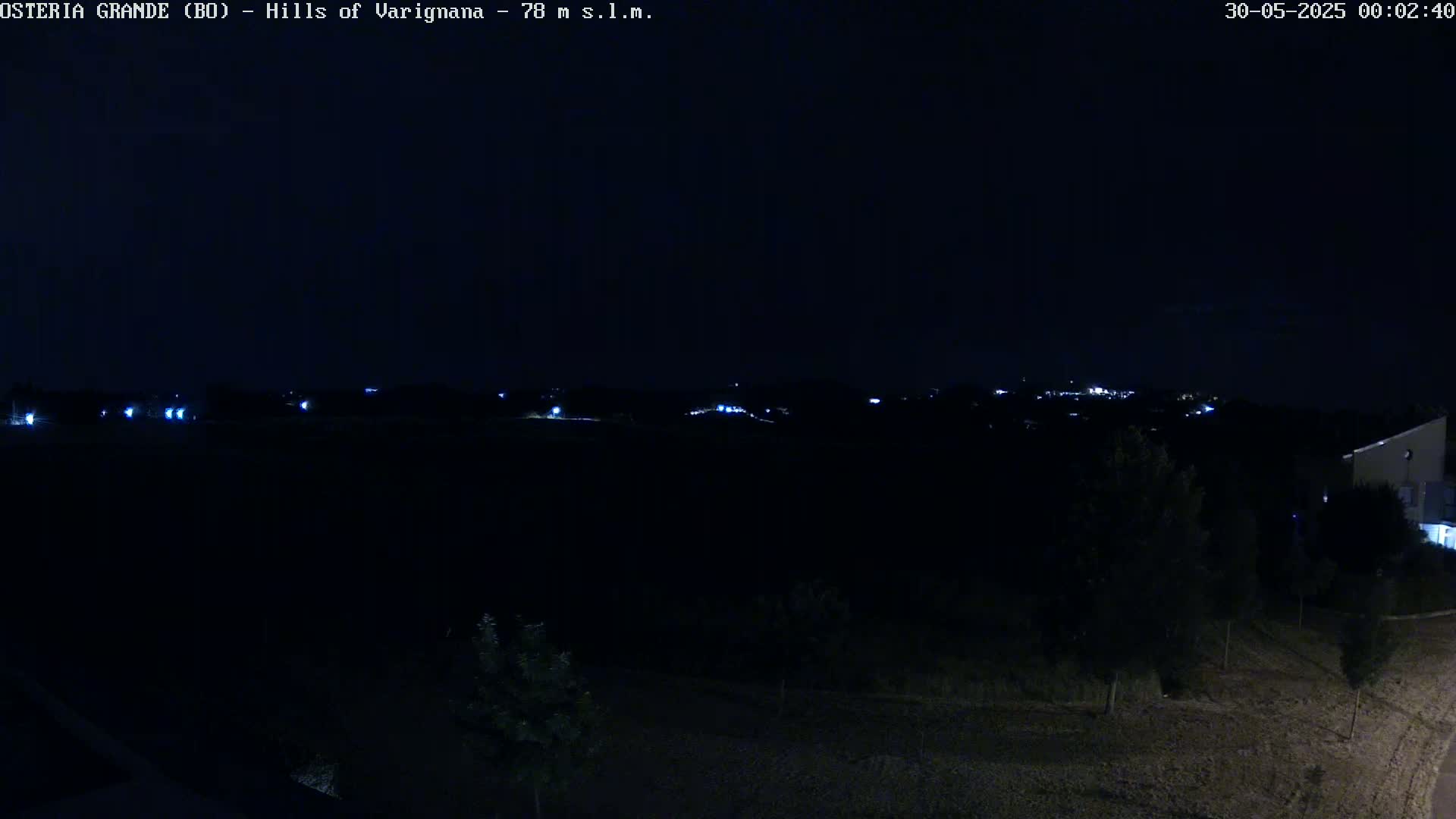 A dark, nighttime landscape shows a distant line of lights on a hill, with dark trees and shrubs in the foreground under a clear, black sky.