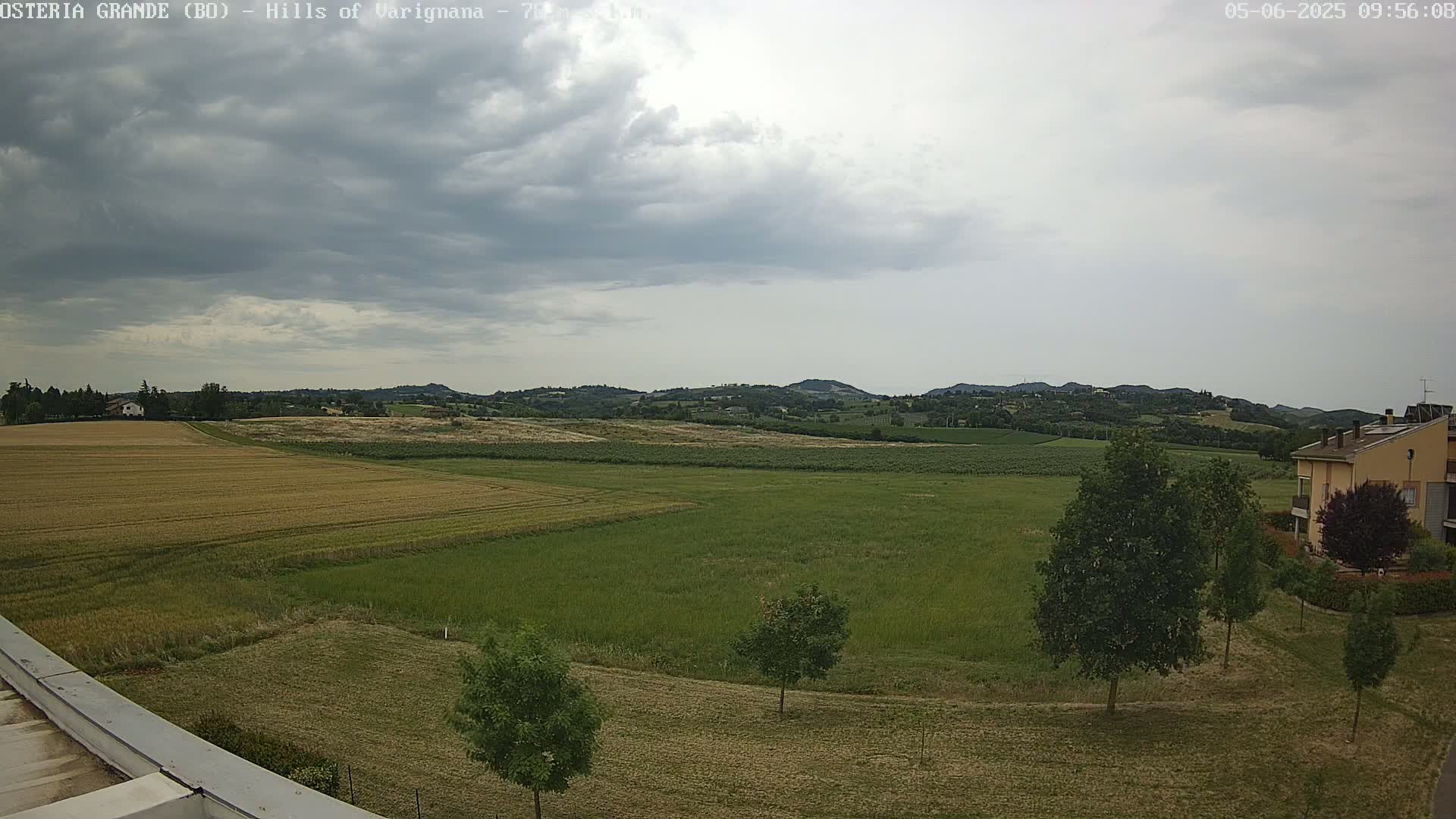 A wide, flat expanse of farmland with patches of different crops, several trees, and a building in the distance under a cloudy sky.