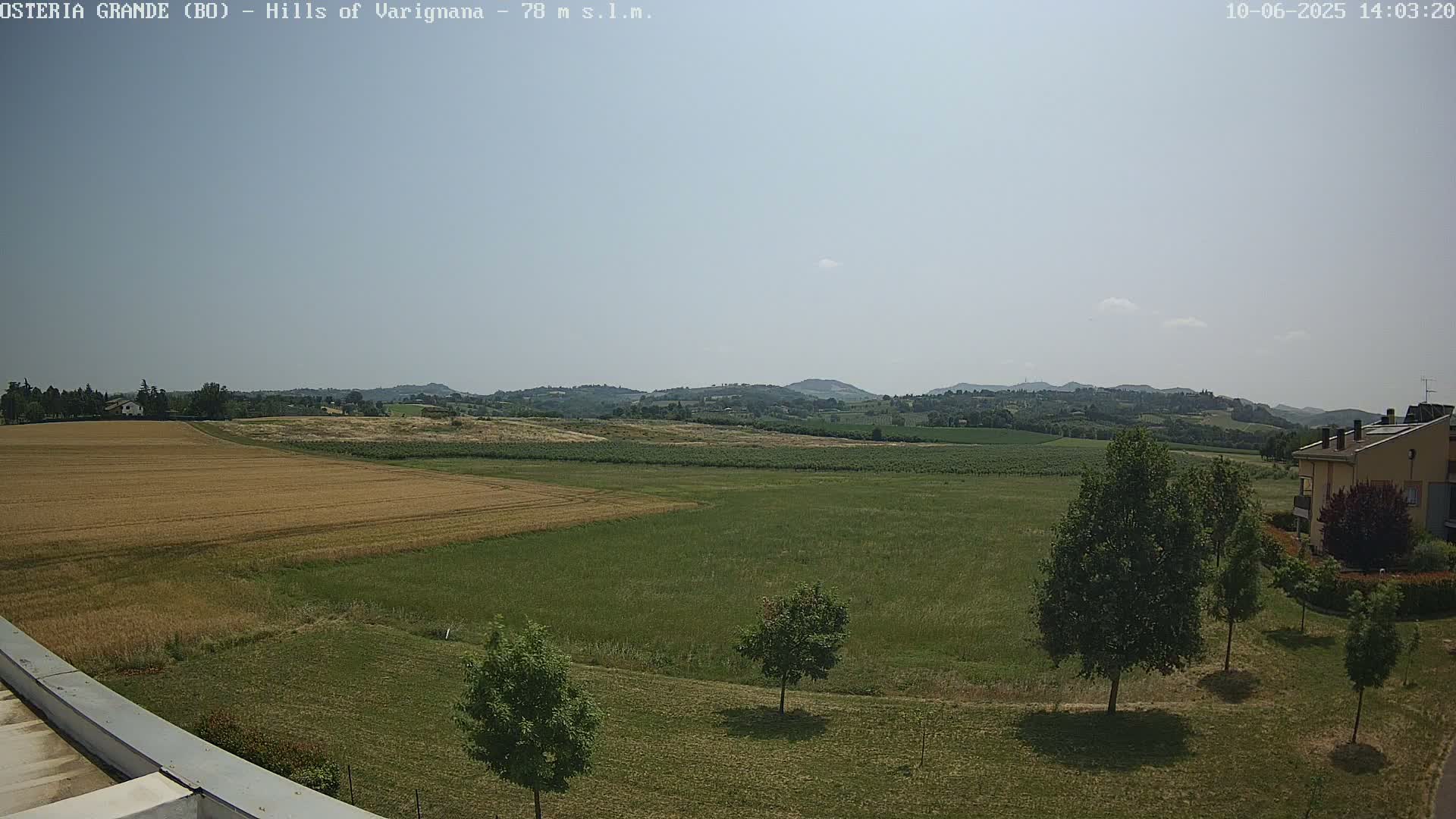 A sunny, expansive view of rolling hills and fields of varying shades of green and gold, punctuated by a few trees and a building in the distance.