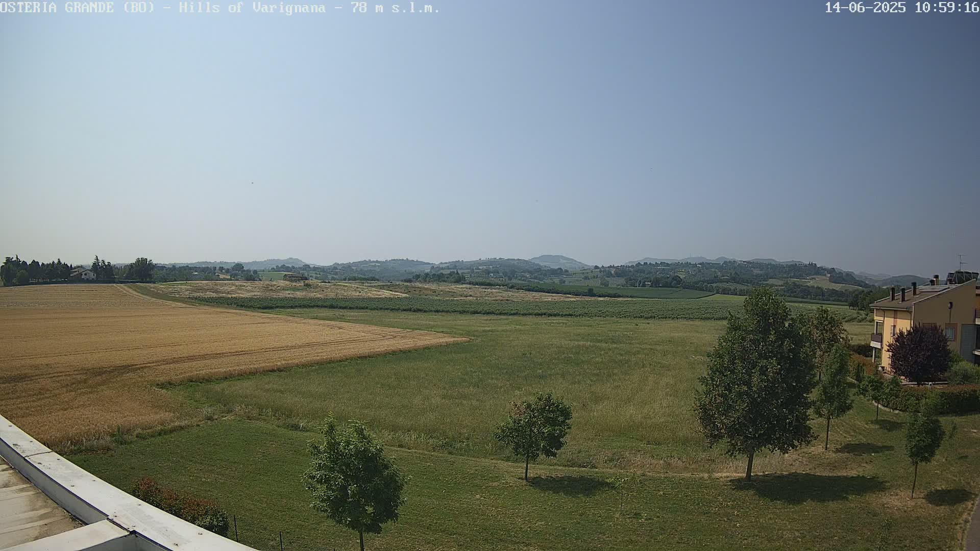 A view of expansive fields, one of golden-brown crops and another of green grass, under a clear, sunny sky, with distant rolling hills and a few buildings in the background.