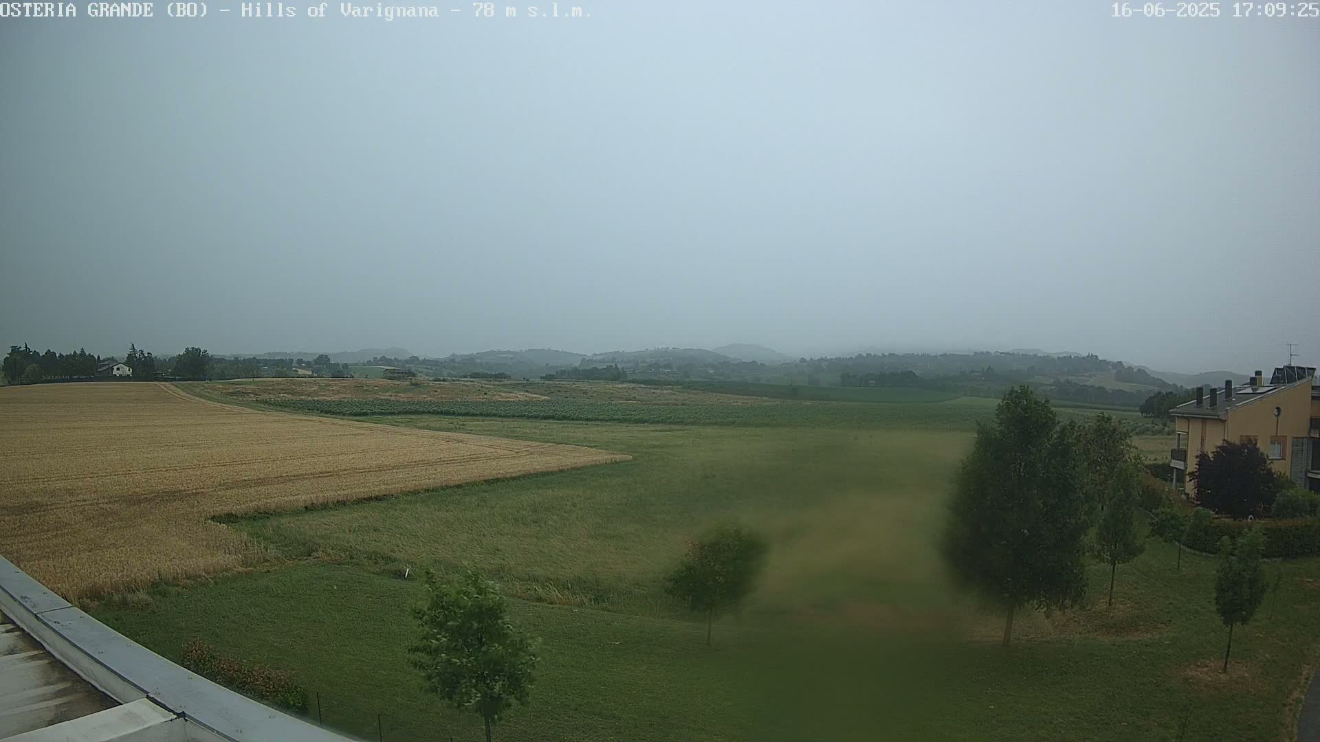 A hazy, overcast view of a rural landscape featuring fields of wheat and grass, a few trees, and a building in the distance.