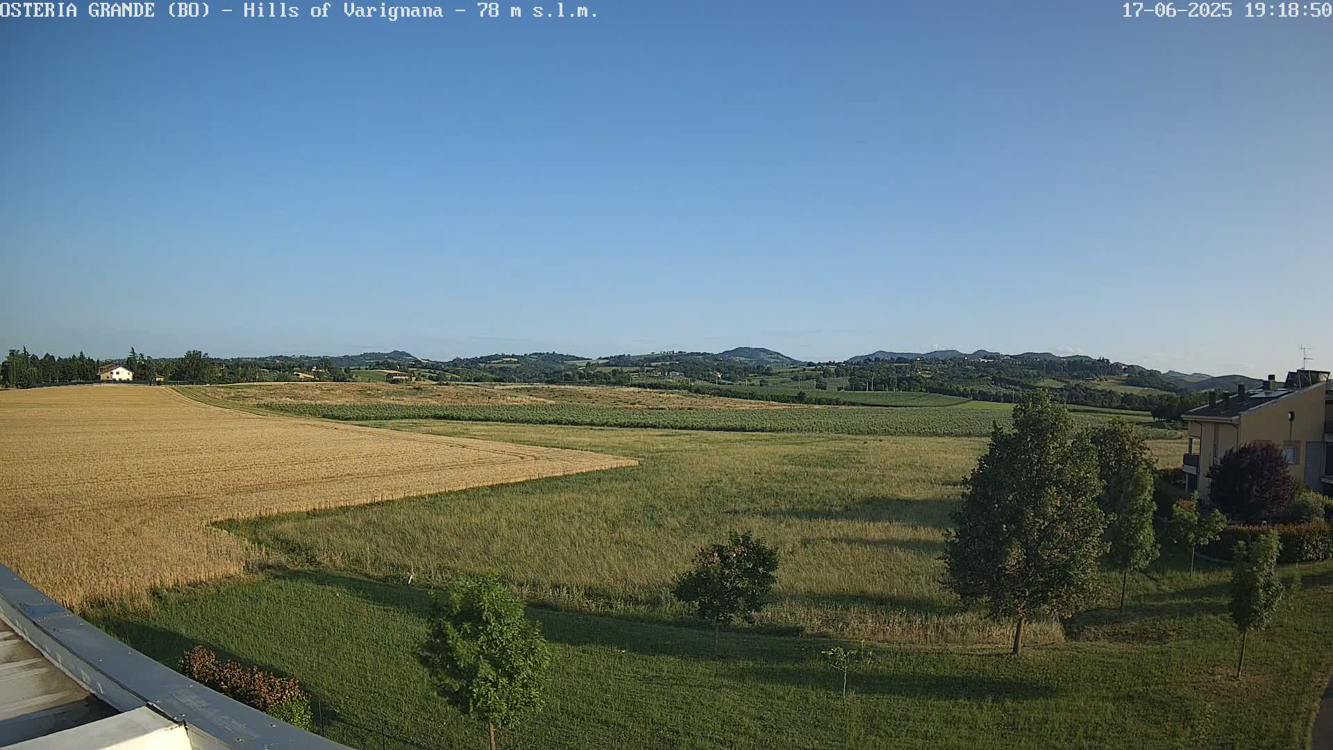 A vast, flat field of golden-brown and green crops stretches towards a line of rolling hills under a clear, blue sky.