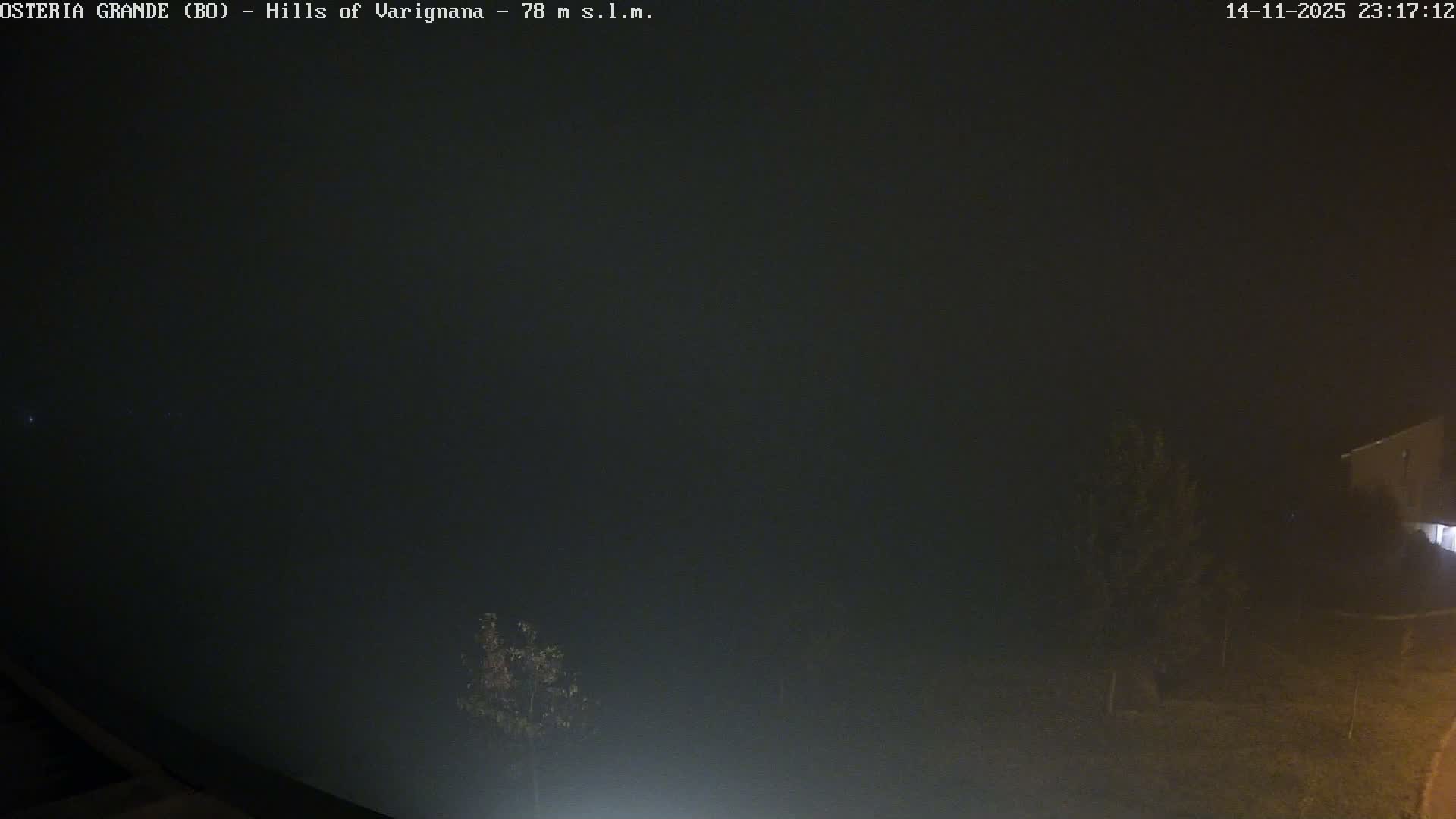 A very dark outdoor scene at night is almost entirely engulfed in dense fog, with a faint light source visible from a building on the right and the shadowy outlines of a few trees in the foreground.