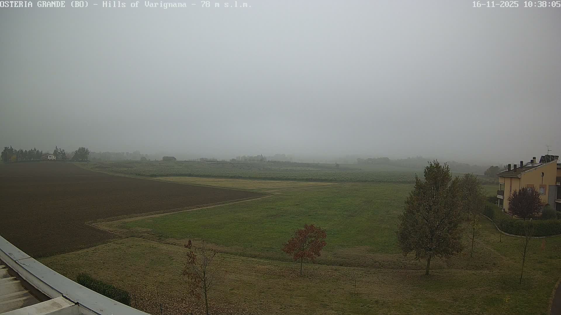 A rural landscape is enveloped in dense fog, featuring cultivated fields, scattered trees, and a building on the right, with distant features heavily obscured by the low visibility.