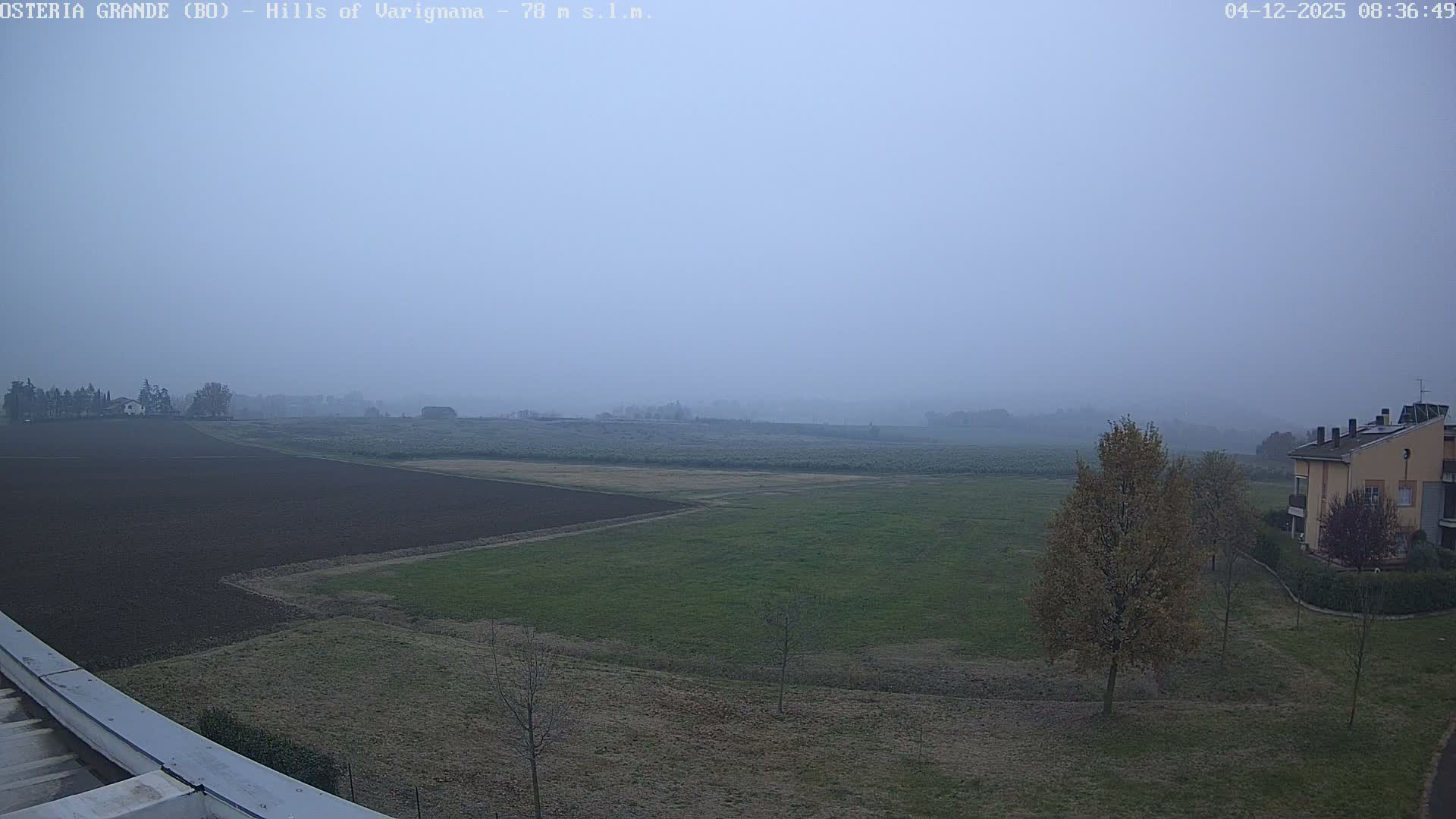 The image displays a vast, foggy rural landscape featuring dark plowed fields, green pastures, scattered trees with autumnal leaves, and a few buildings under a uniformly gray, misty sky.