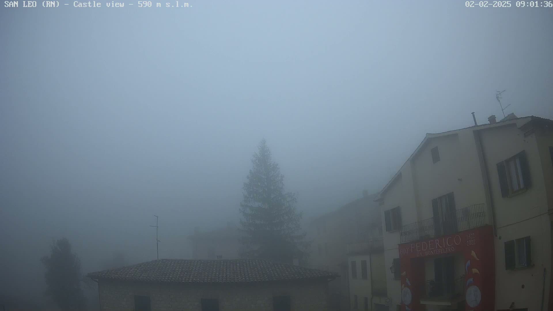 A thick fog obscures a view of stone buildings and a lone evergreen tree.