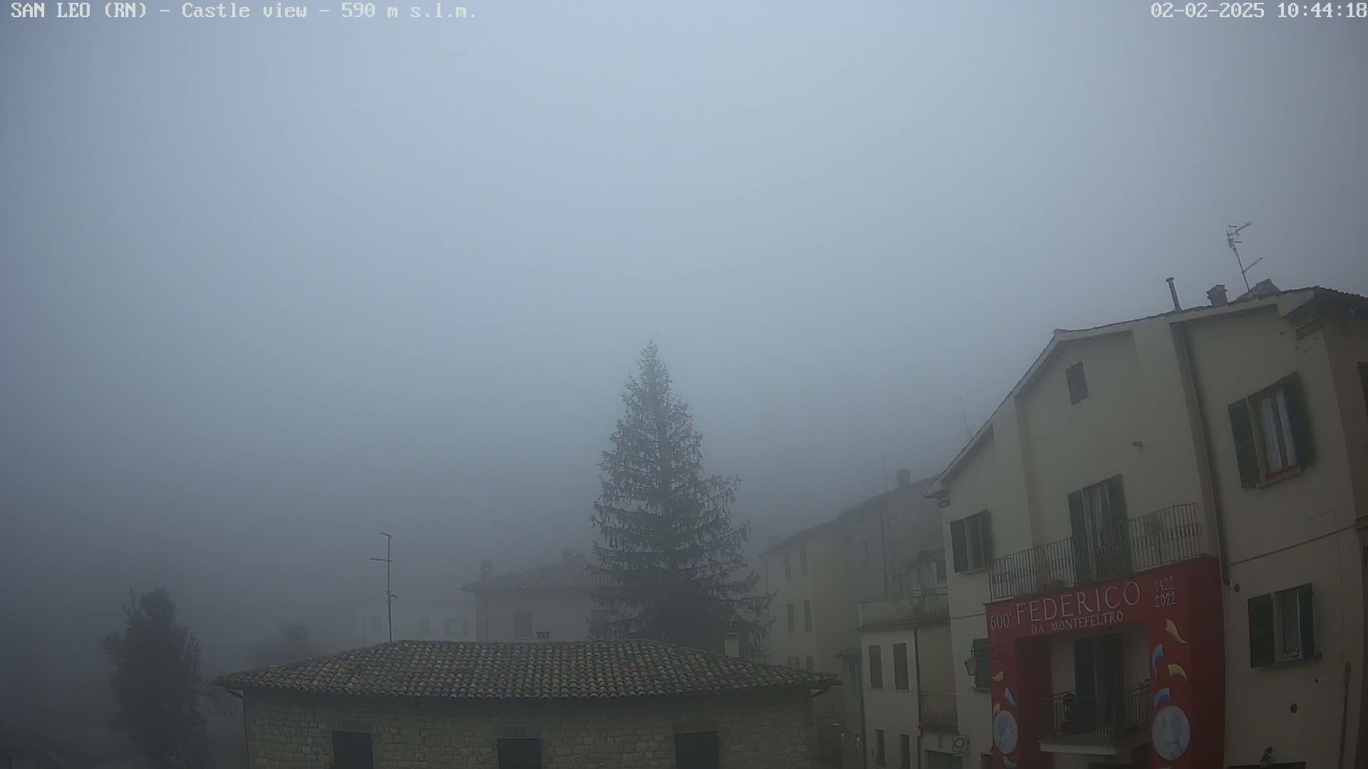 A foggy view of a town with buildings and a tall evergreen tree.