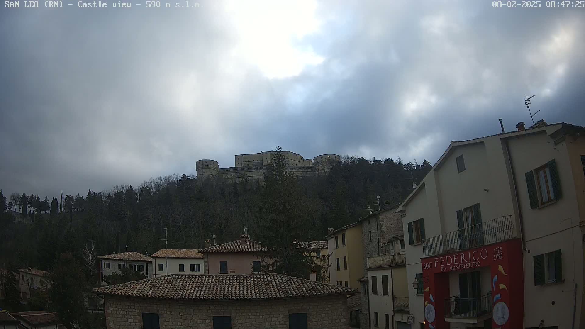 A stone castle sits atop a hill covered in dark green trees under a cloudy sky, overlooked by a town of stone buildings with reddish-brown roofs.