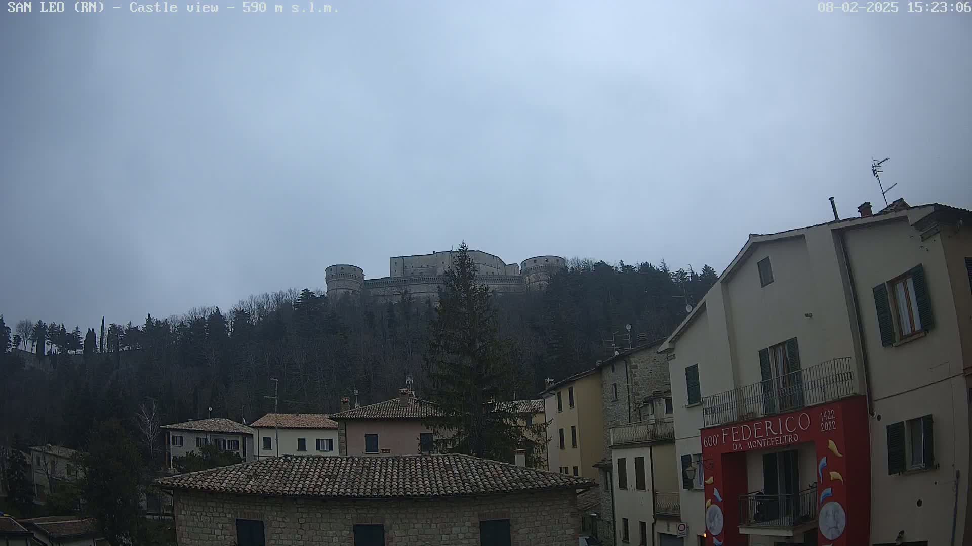 A stone castle sits atop a hill covered in dark trees under an overcast sky, overlooking a town with buildings of varying sizes and colors.