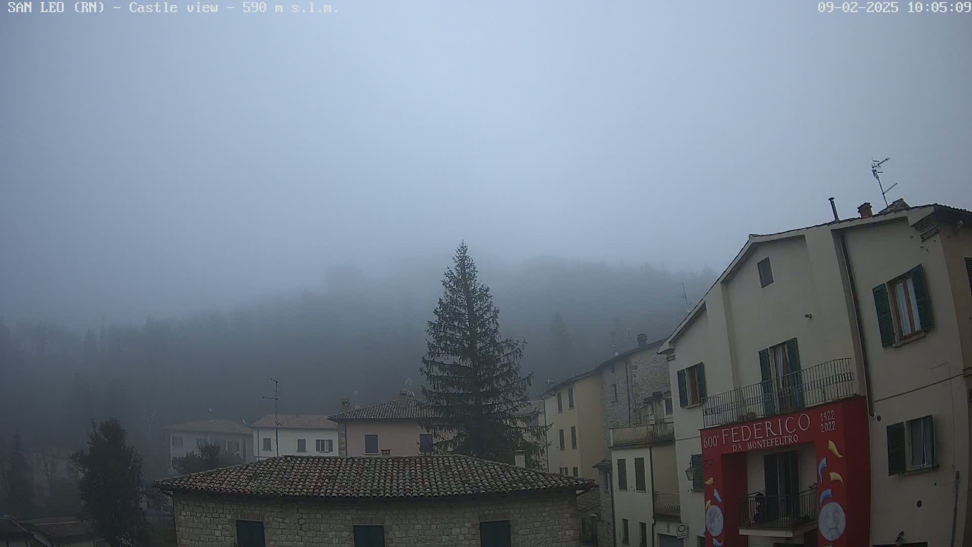 A foggy landscape shows a village of stone buildings nestled among hills, with a tall evergreen tree in the foreground.