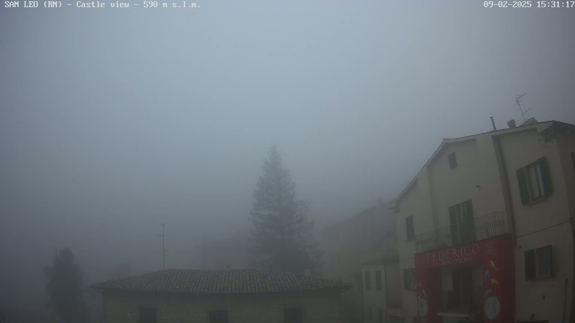 A foggy village scene shows several buildings and a coniferous tree.