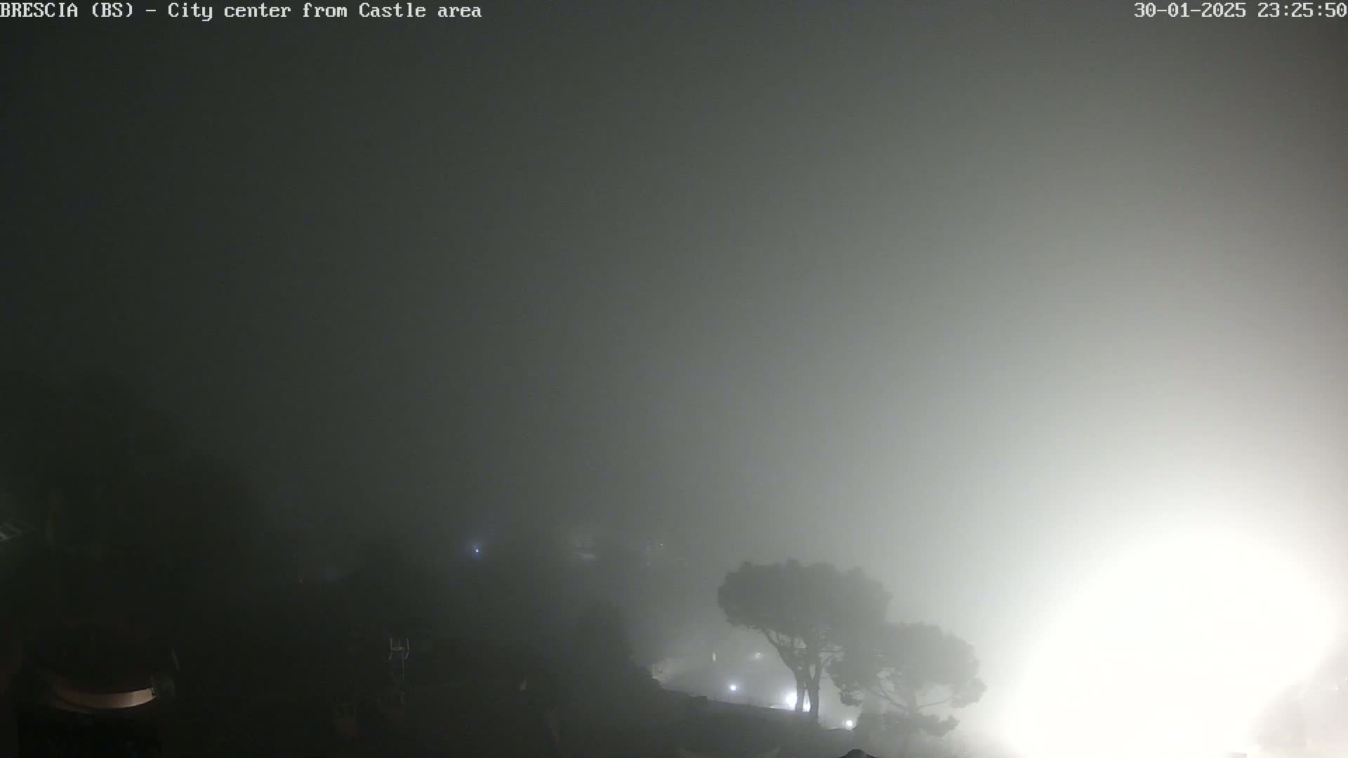 A nighttime view of a city shrouded in thick fog, with a few dimly lit trees and buildings barely visible in the distance.