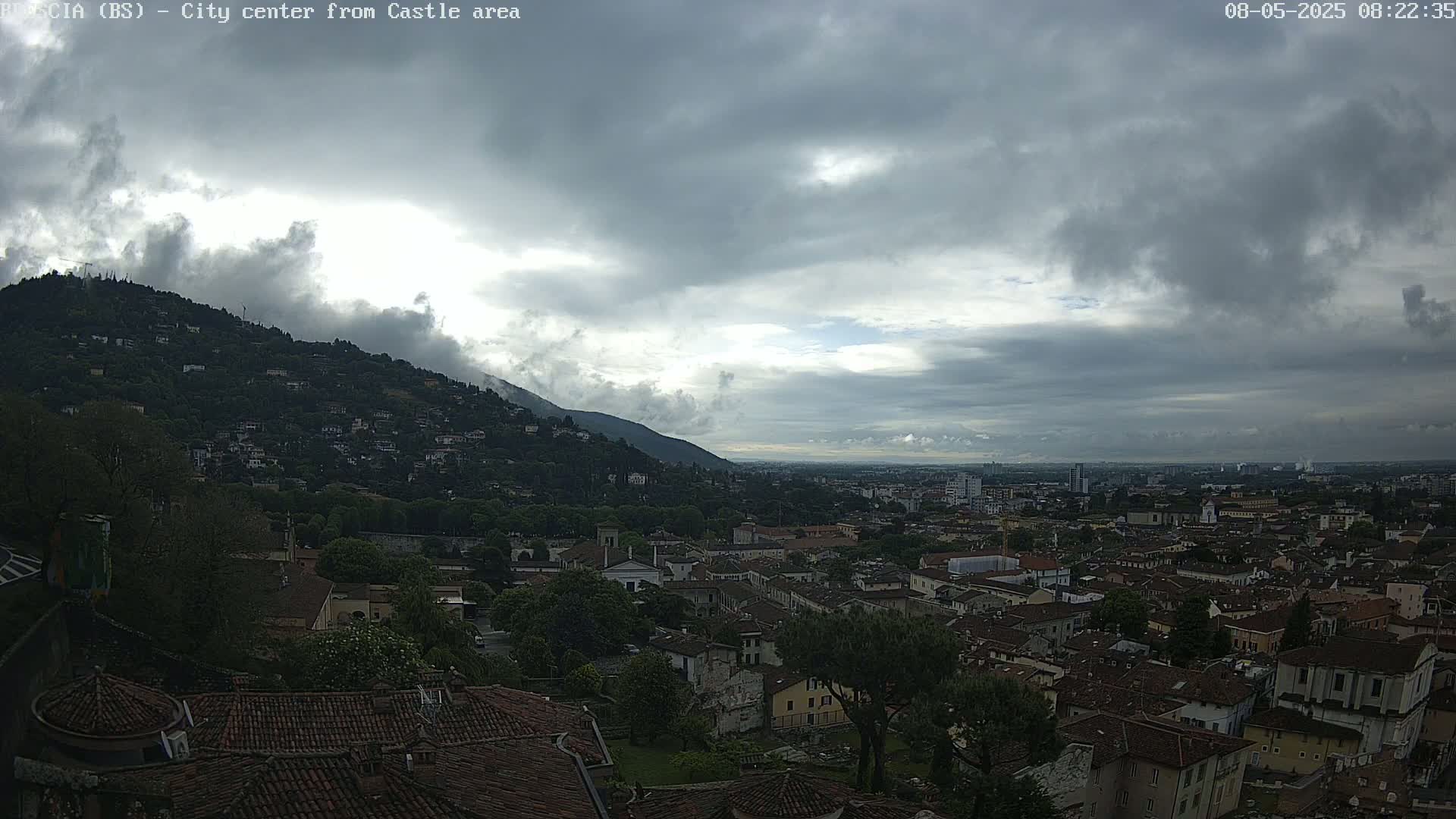 A city sprawls beneath a cloudy sky, with a hill covered in buildings and trees in the foreground.