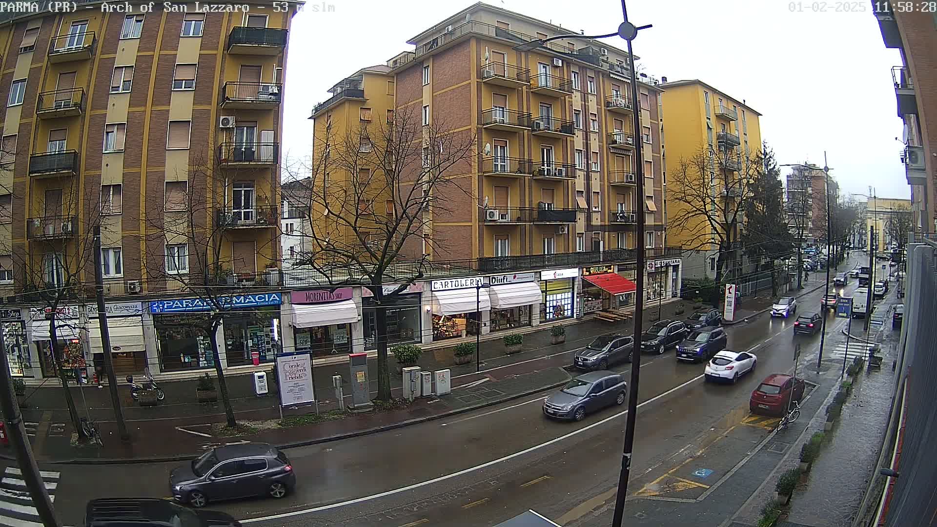 A rain-slicked city street scene shows several cars driving past multi-story buildings with shops on the ground floor, under a gray sky.