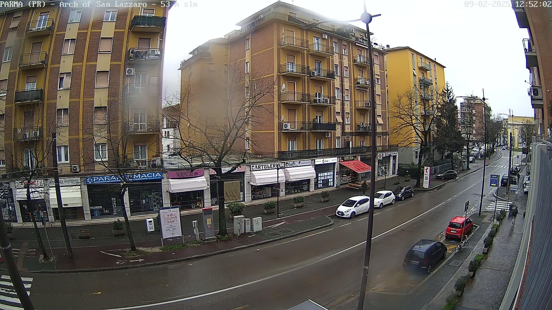 A rain-slicked city street scene shows several parked cars in front of multi-story buildings with shops on the ground floor.