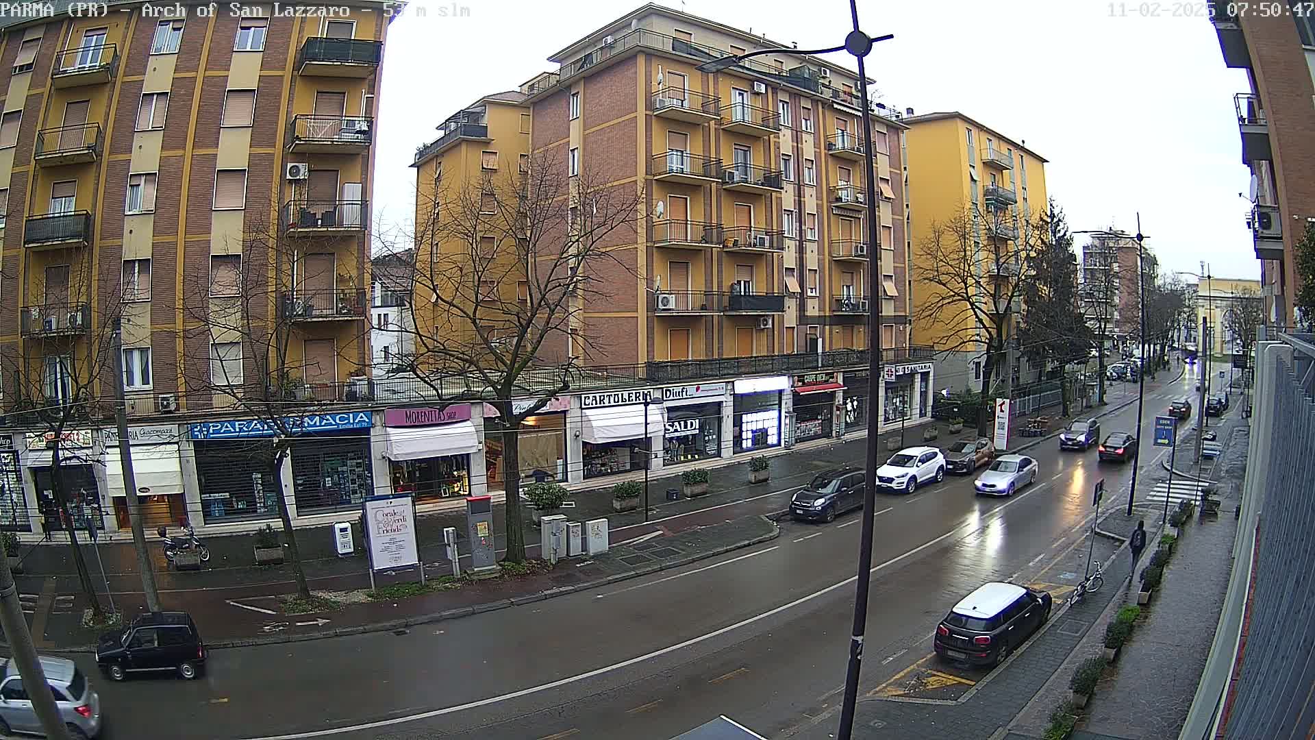 A wet street scene shows several cars driving past multi-story buildings and shops under an overcast sky.