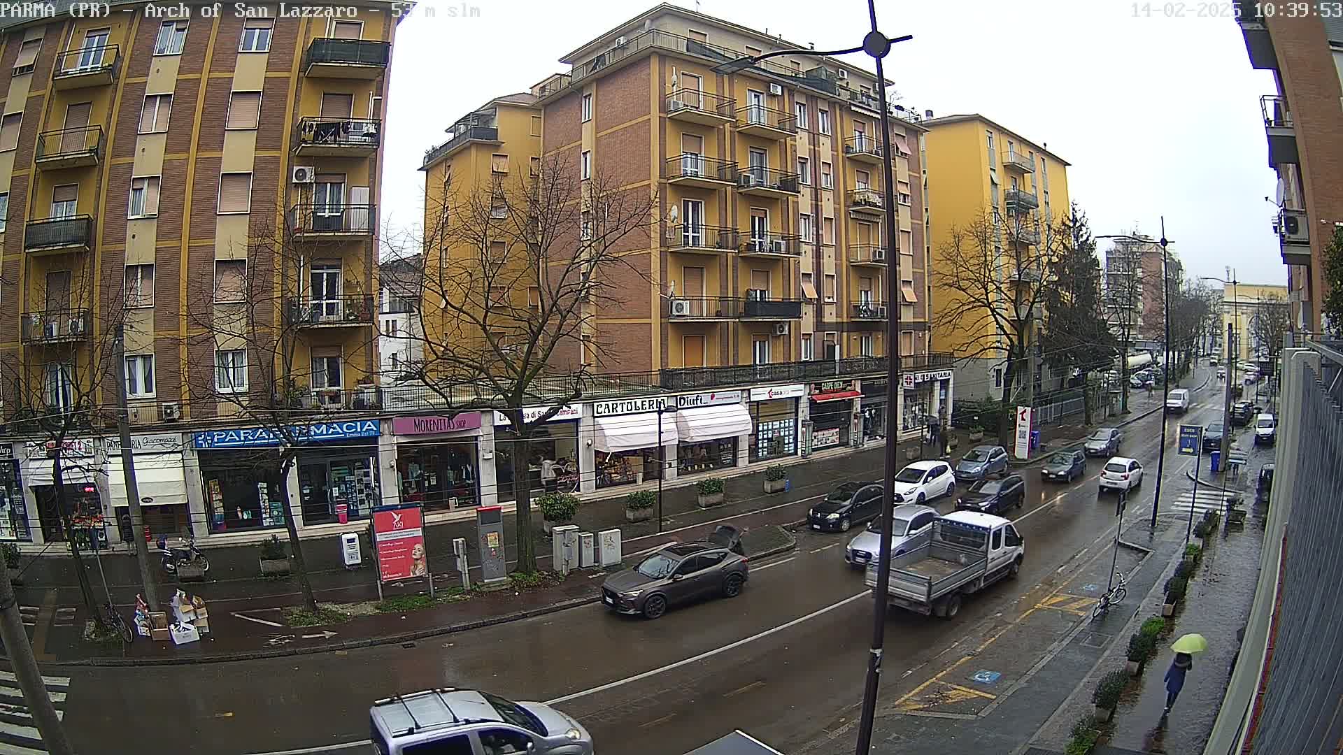 A wet city street scene shows several cars driving past multi-story buildings under a gray sky.