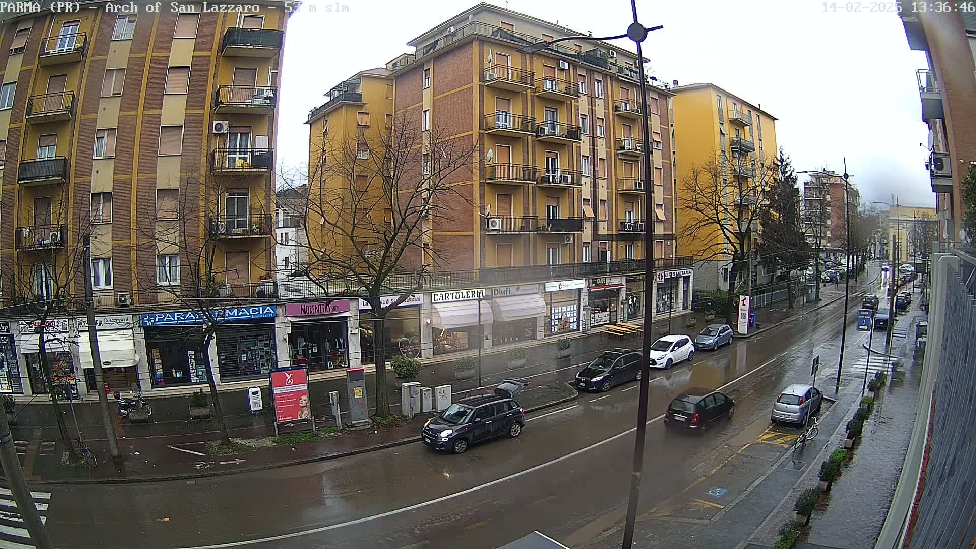 A rain-slicked city street scene shows several cars parked and driving past multi-story buildings with ground-floor shops.