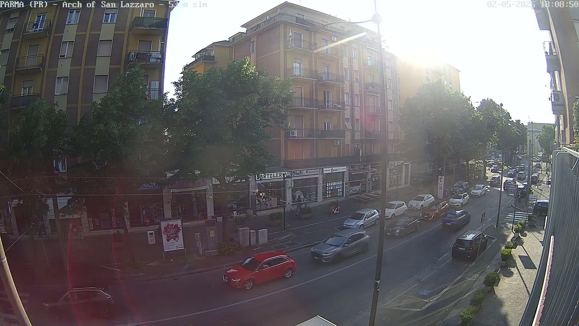 A sunny city street scene shows several cars driving past multi-story buildings and shops lined with trees.