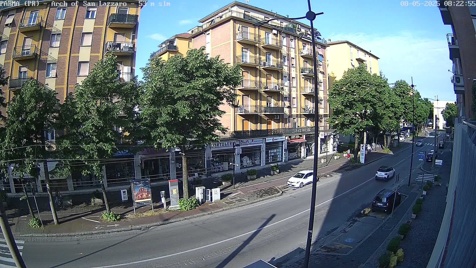 A sunny day reveals a city street lined with shops and buildings, shaded by lush green trees.