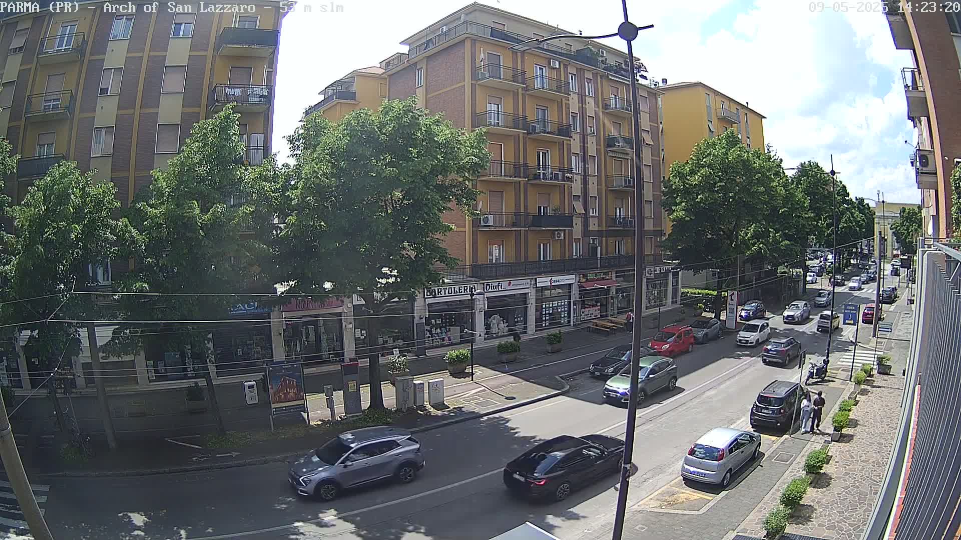 A sunny city street scene shows several cars driving past a row of shops and a multi-story building, lined with leafy trees.