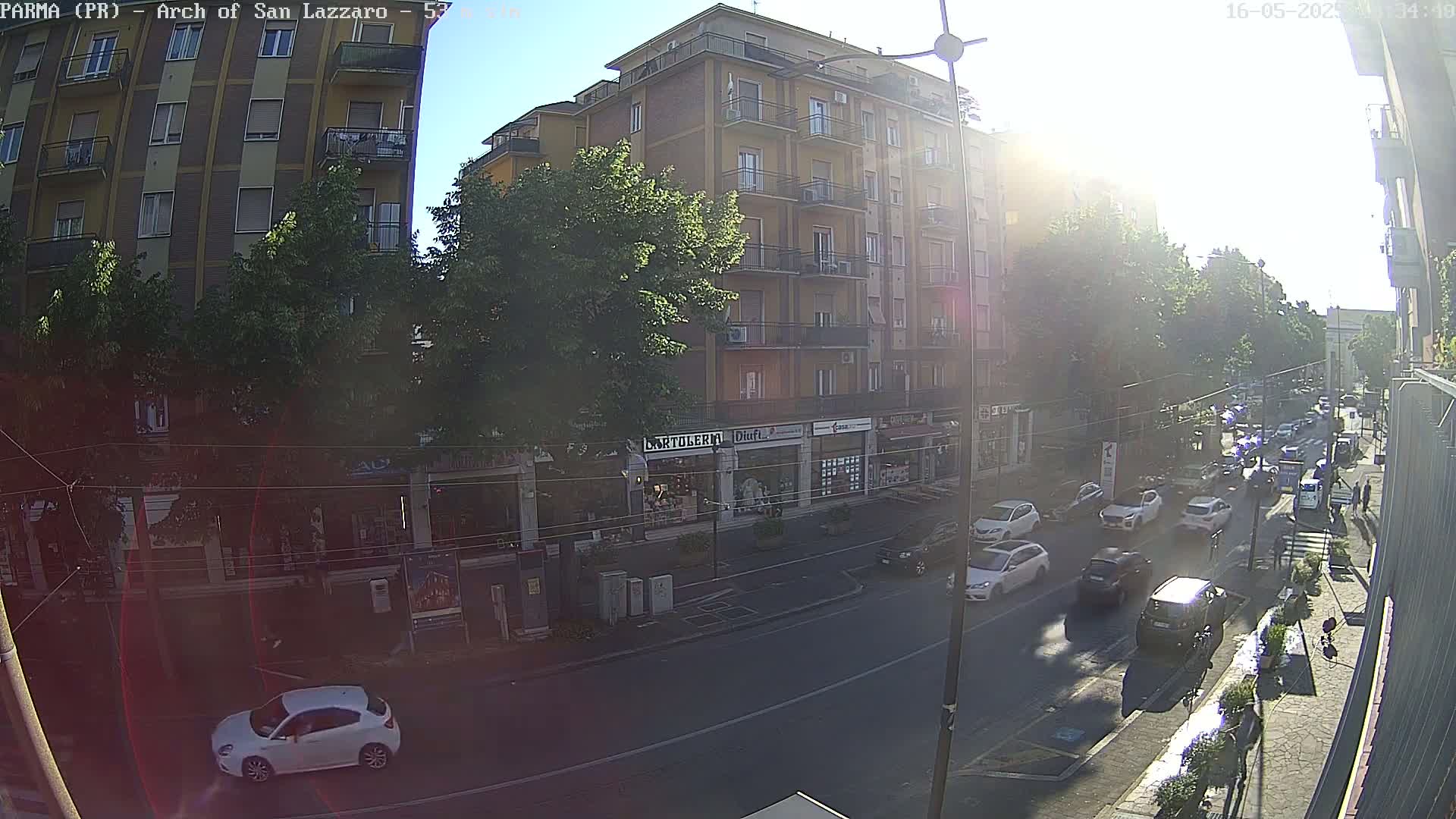 A sunny city street scene shows a multi-story building with shops on the ground floor, several cars parked and driving on the street, and leafy trees lining the road.
