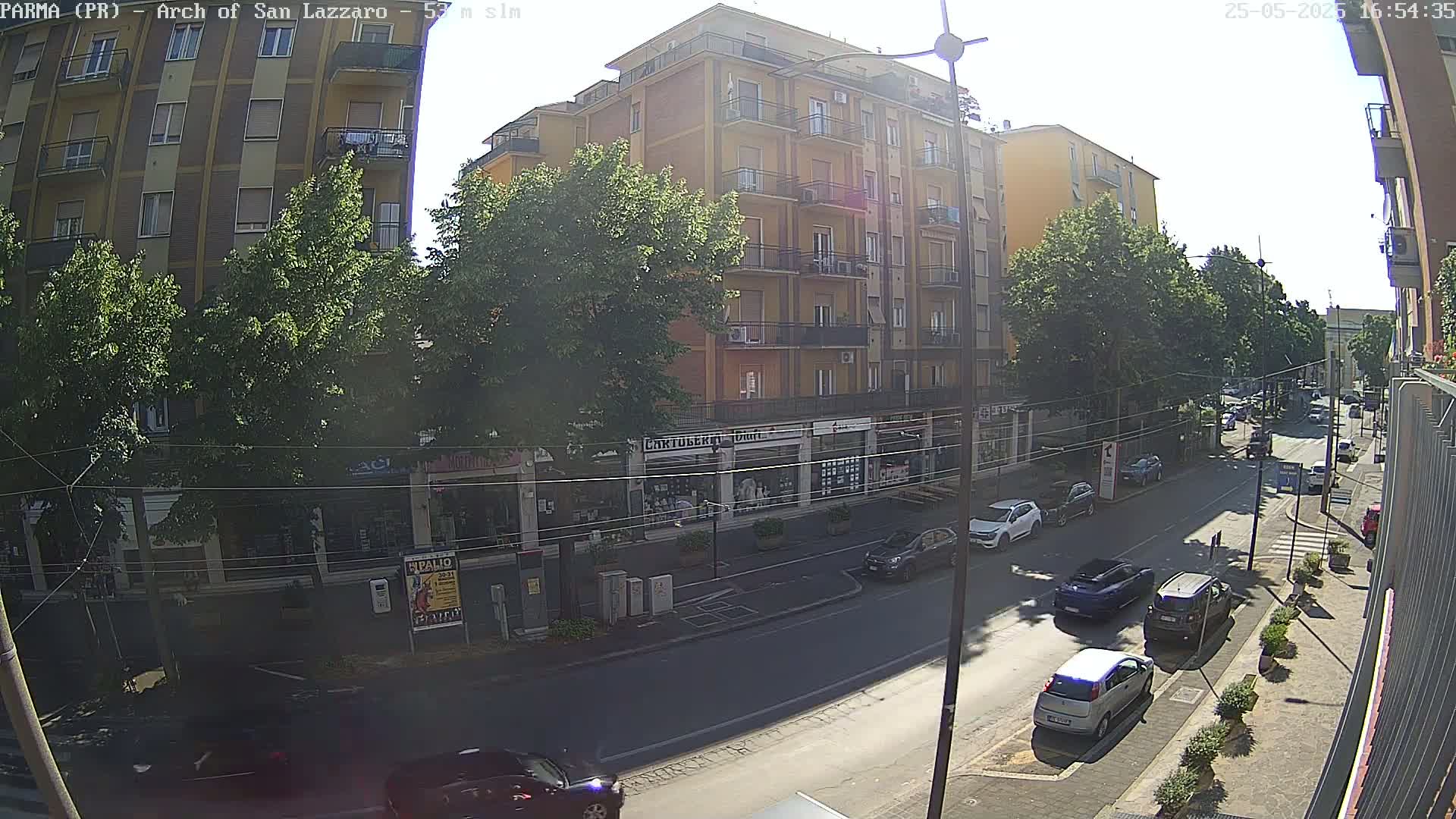 A sunny street scene shows a multi-story building, several parked and moving cars, and lush green trees lining a roadway.