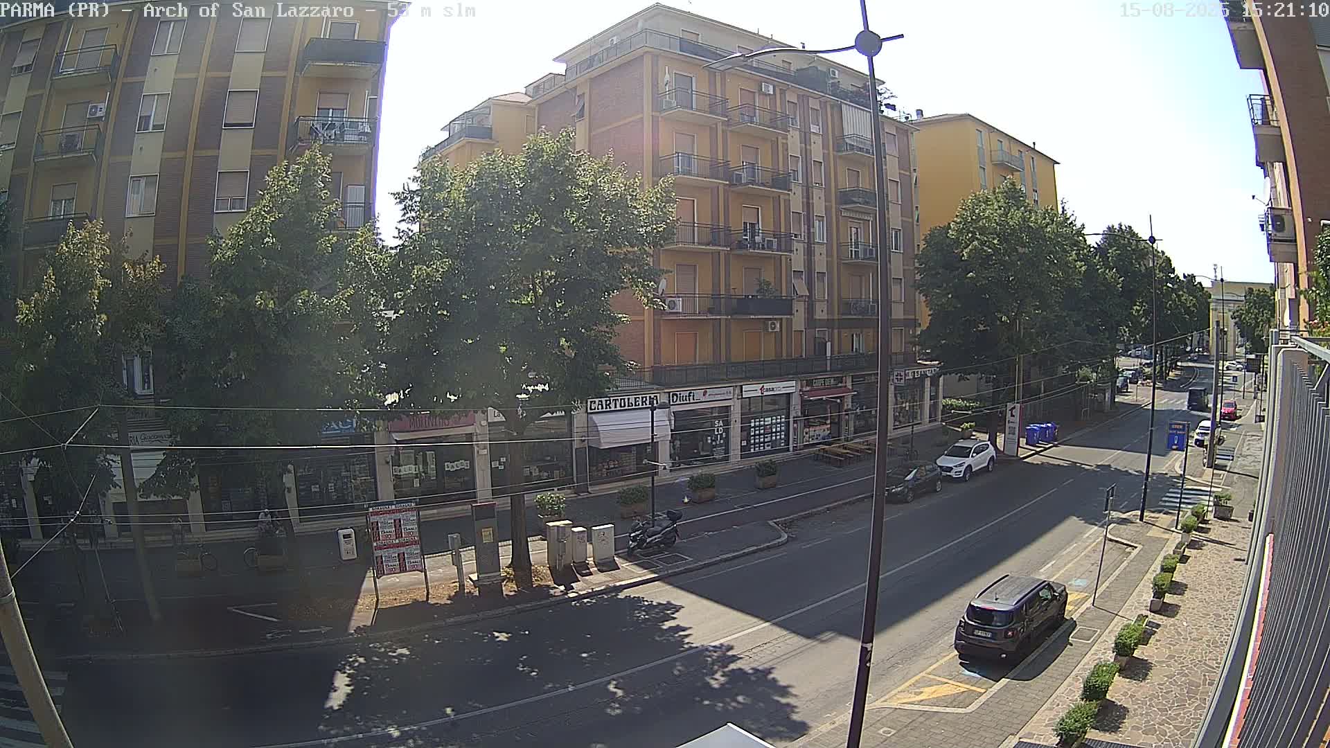 A sunny city street scene shows several cars driving past a row of shops and a multi-story building, with green trees lining the street.