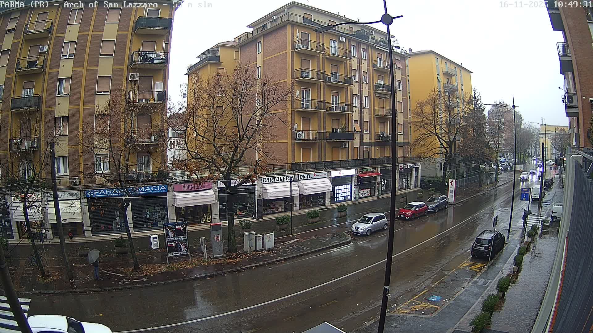 A wide-angle view captures a rainy urban street lined with multi-story buildings and mostly bare trees under an overcast sky, with cars driving and parked along the wet pavement.