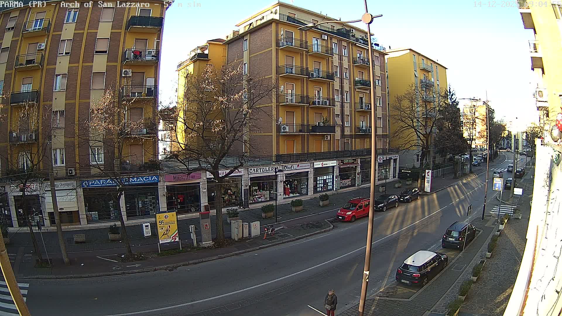 A sunny outdoor scene depicts a busy European city street lined with multi-story buildings housing ground-floor shops, bare trees, several parked and moving cars, and a pedestrian on the sidewalk.