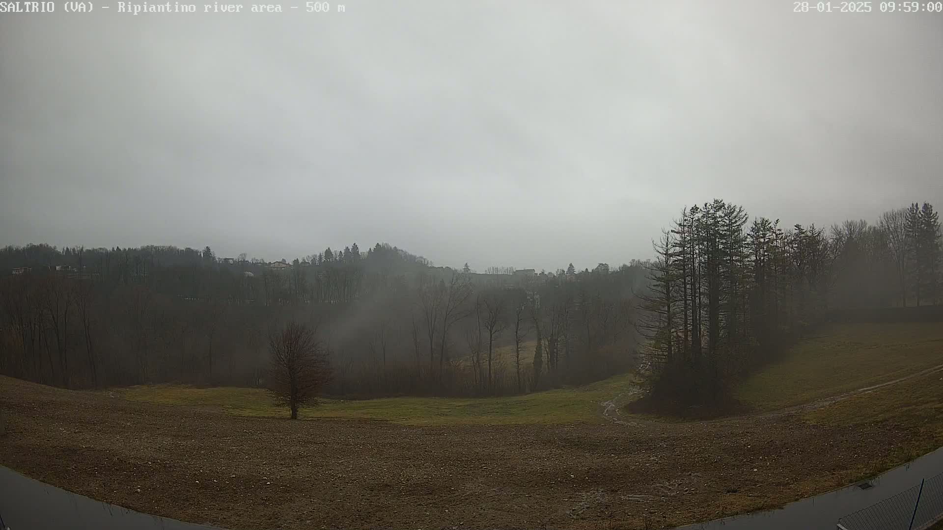 A foggy landscape shows a field and bare trees leading up to a hill covered in a misty forest.