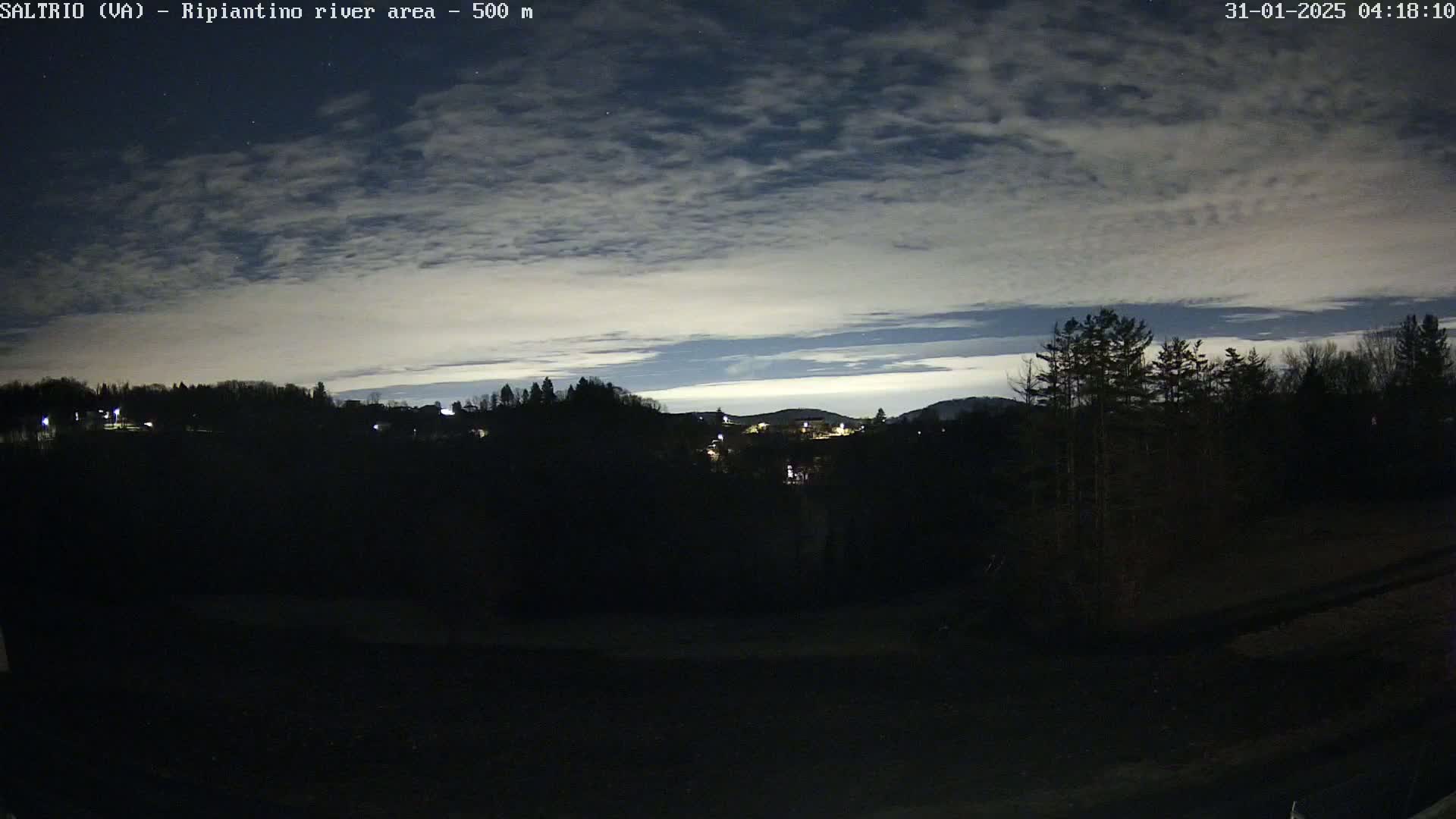 A nighttime view of a dimly lit town nestled among dark, silhouetted trees under a mostly cloudy sky.